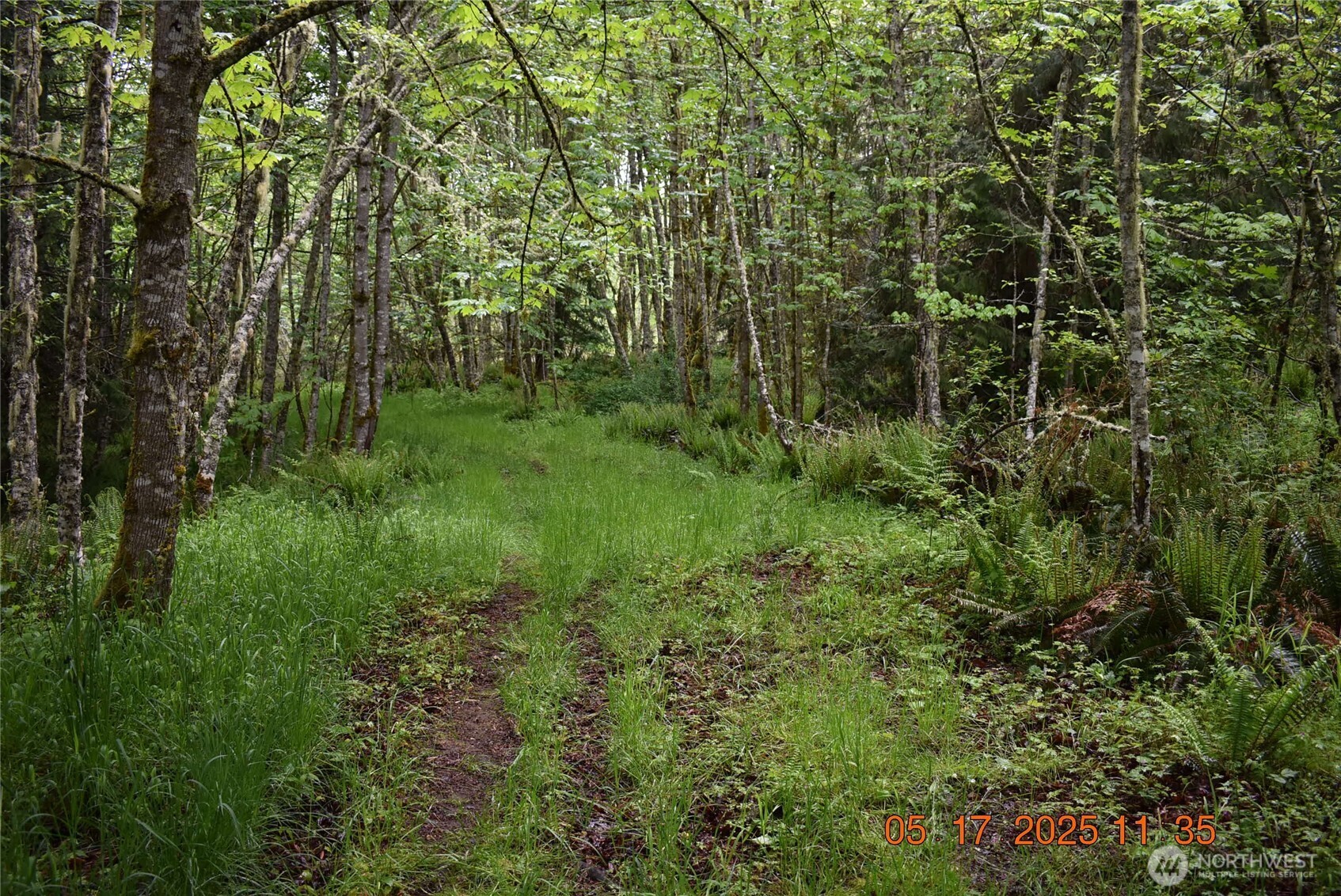 0 Lot 40 Township Line Road Property Photo 23