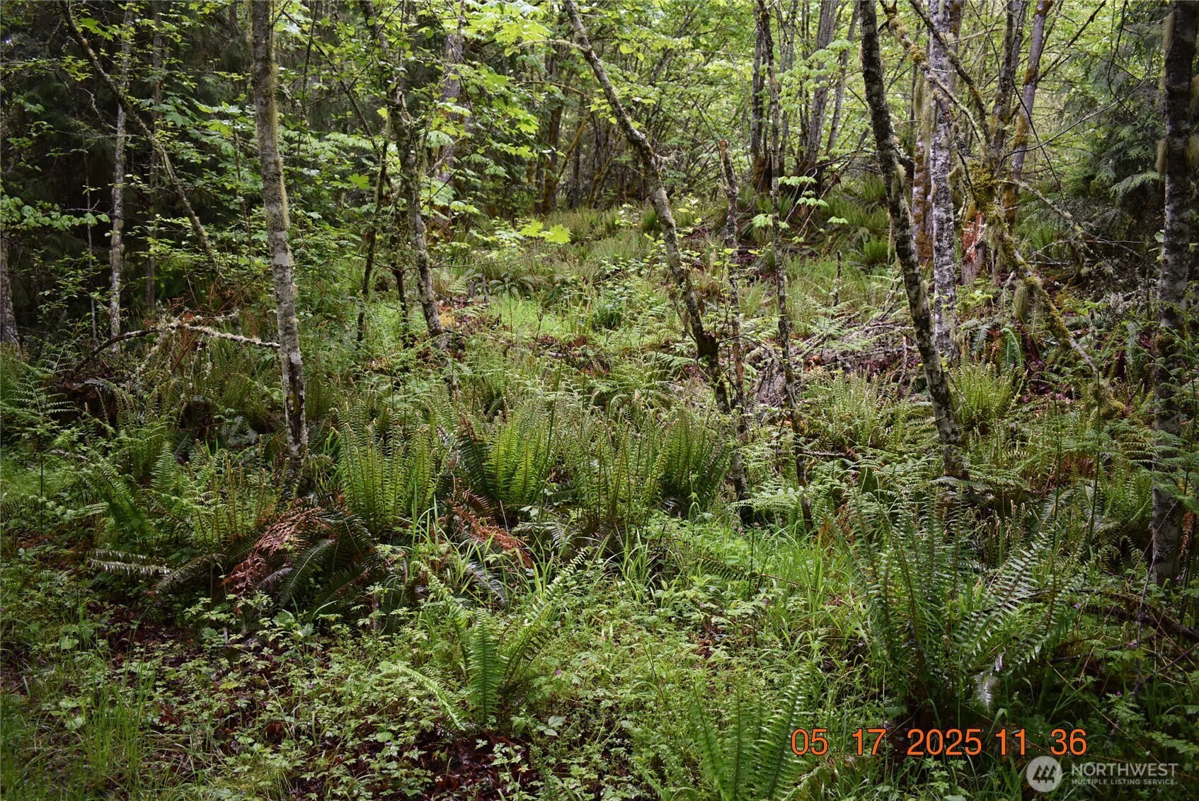 0 Lot 40 Township Line Road Property Photo 24