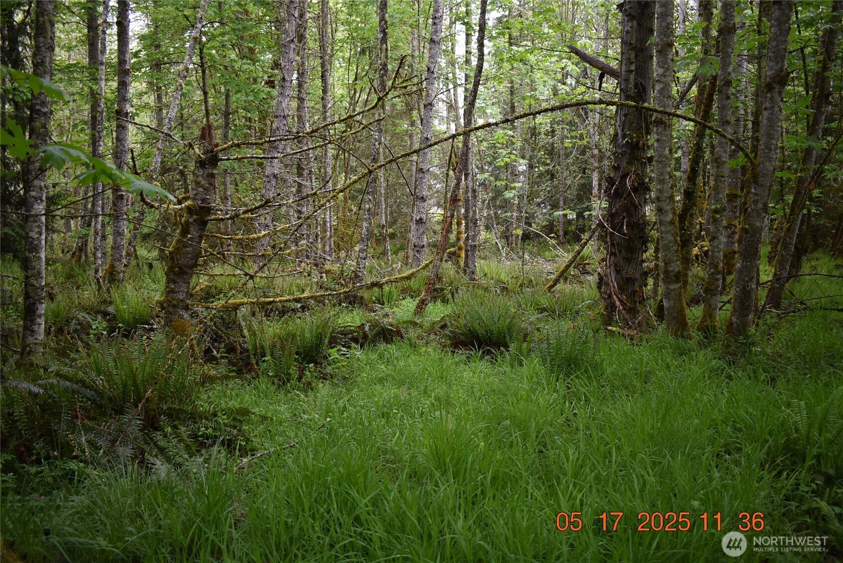 0 Lot 40 Township Line Road Property Photo 25