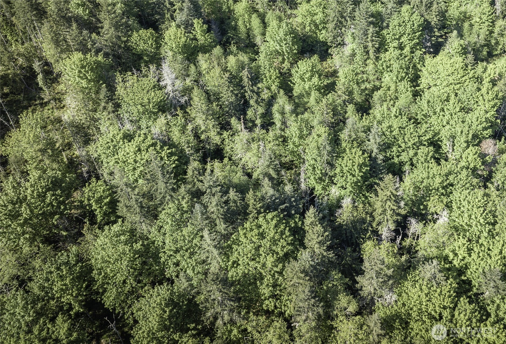 0 Lot 40 Township Line Road Property Photo 27