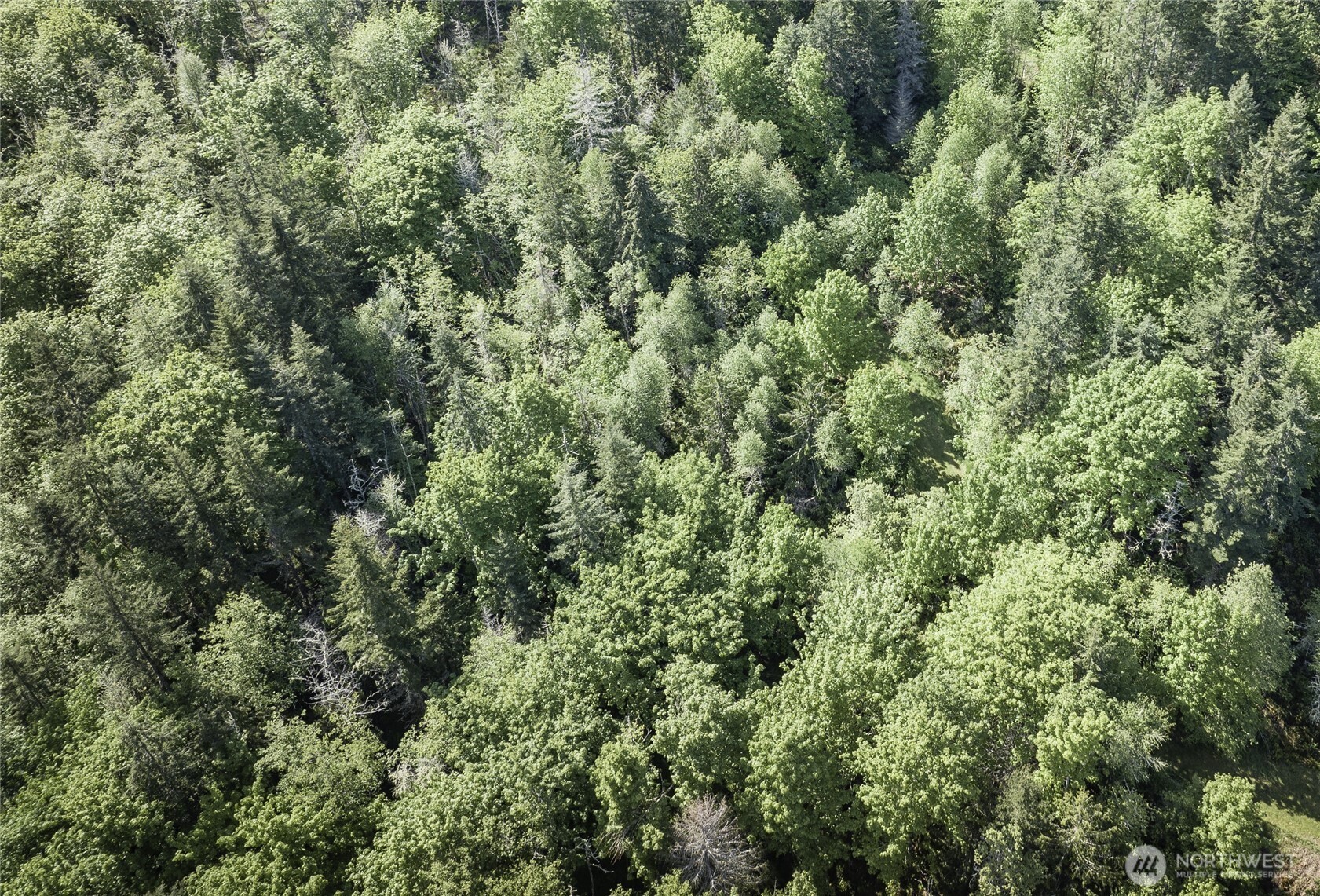 0 Lot 40 Township Line Road Property Photo 28