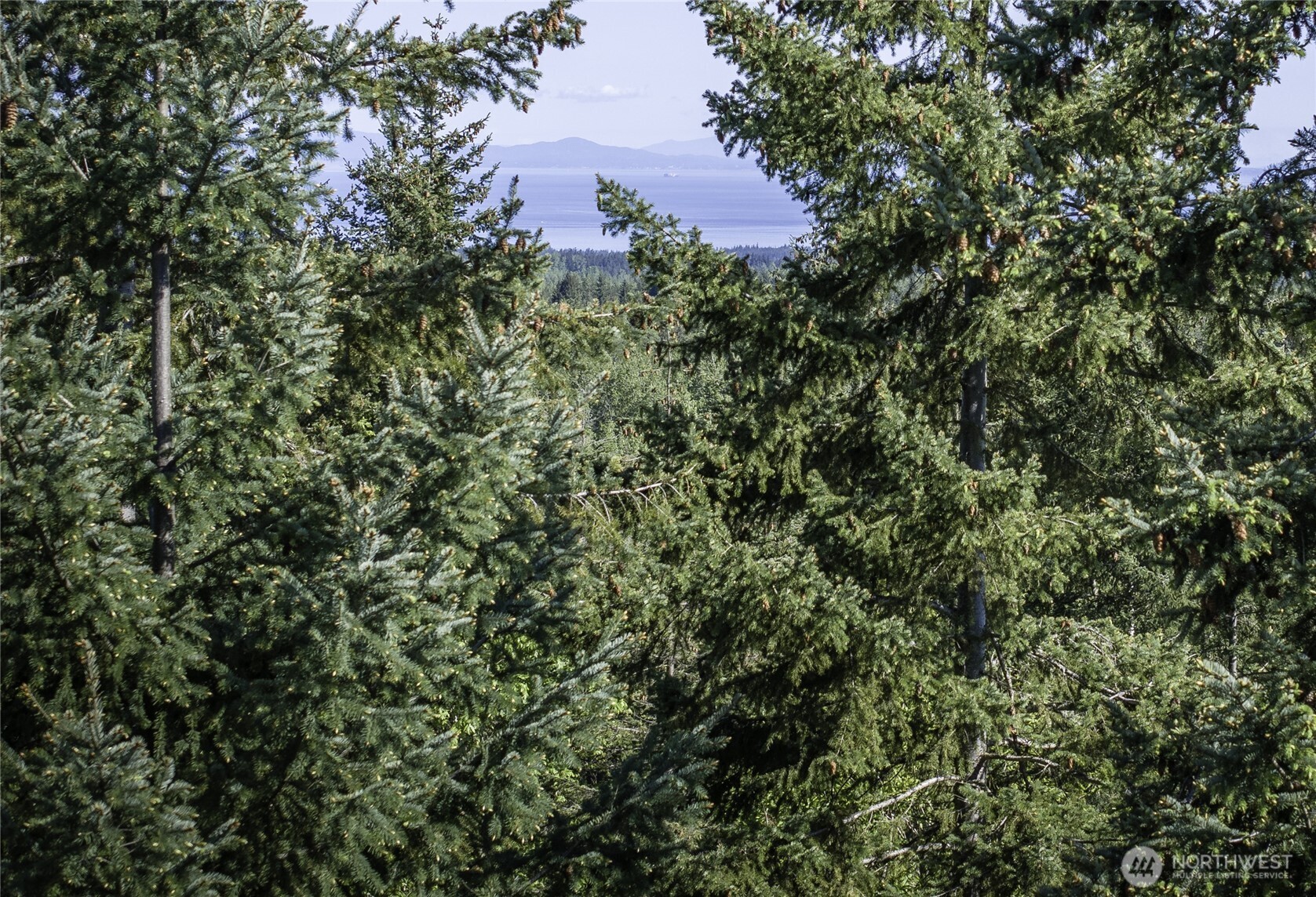 0 Lot 40 Township Line Road Property Photo 29