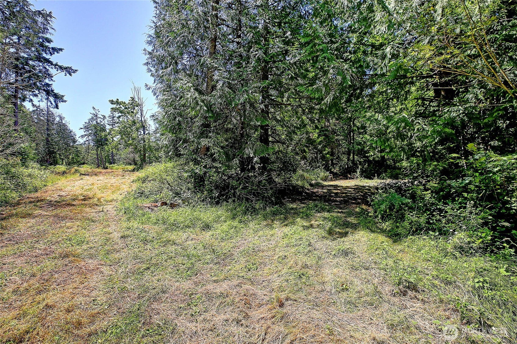 680 Tillicum Way Property Photo 6