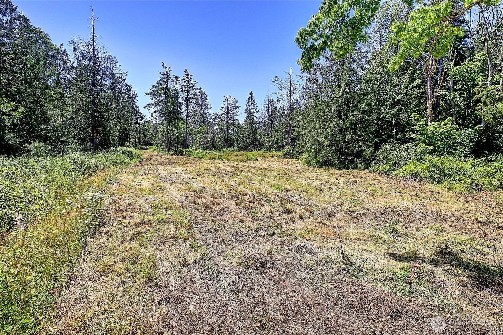 680 Tillicum Way Property Photo 7