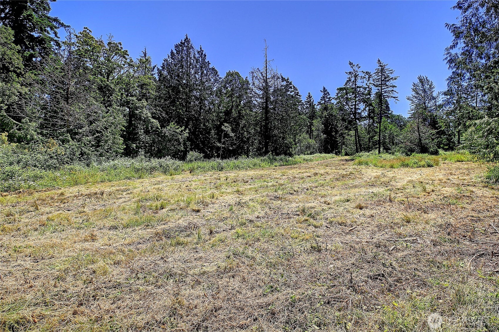 680 Tillicum Way Property Photo 8