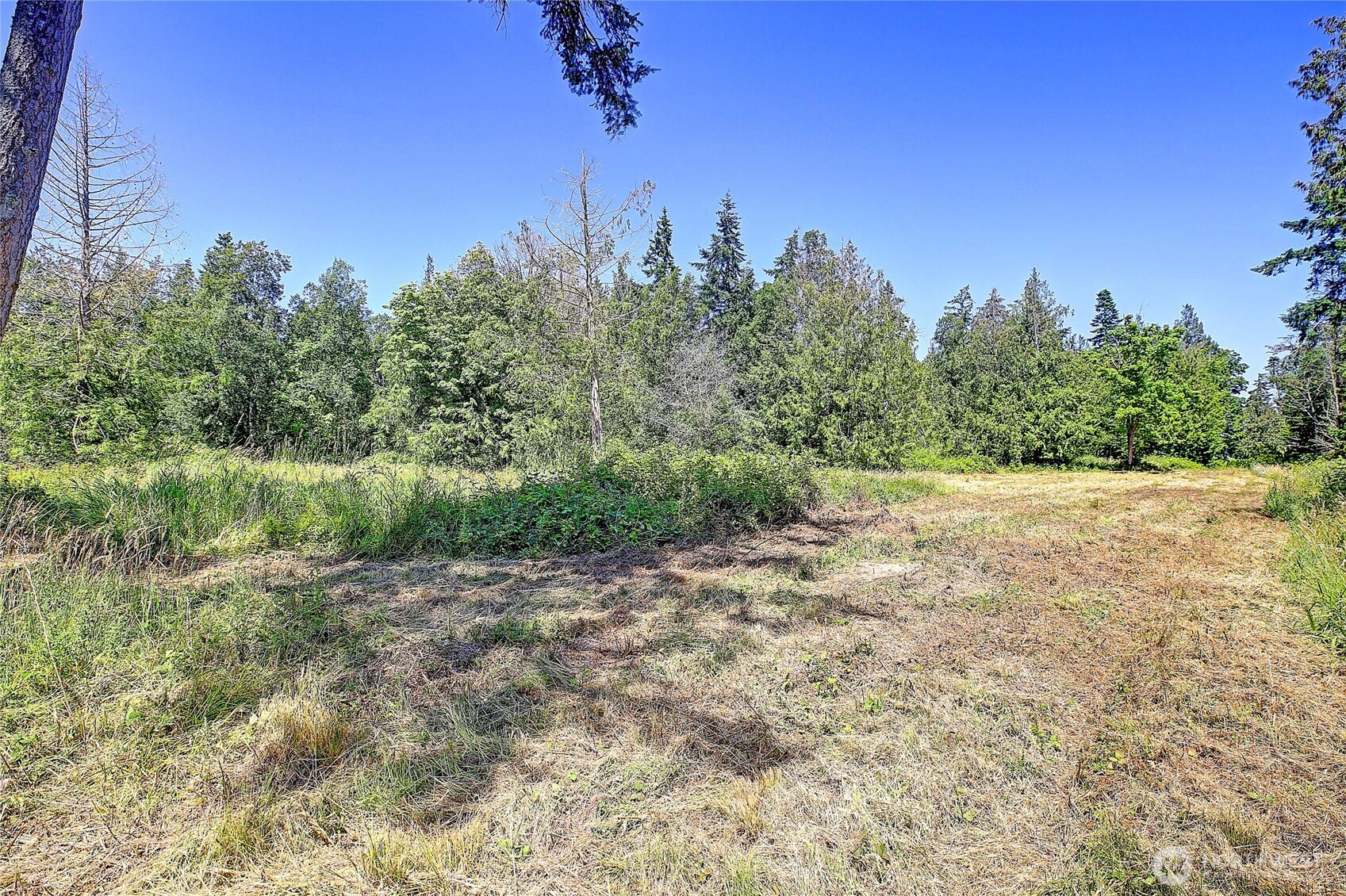 680 Tillicum Way Property Photo 9