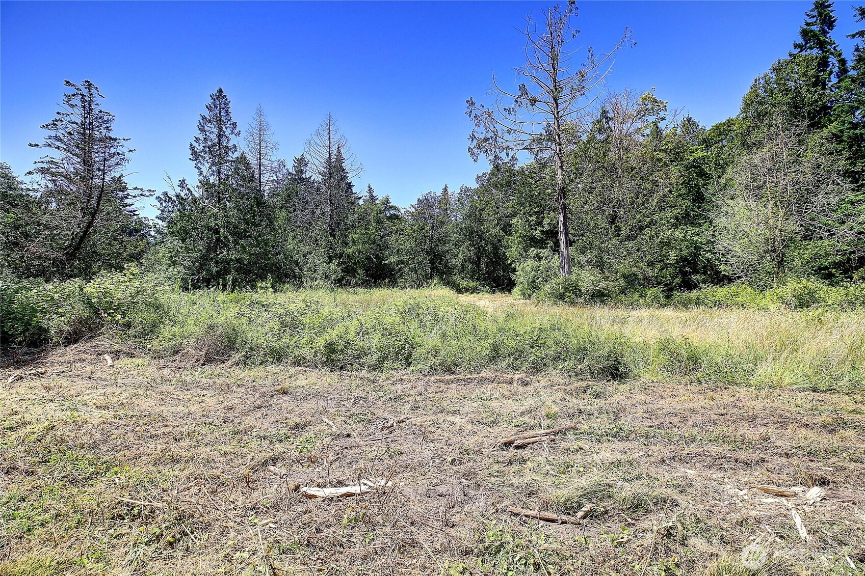 680 Tillicum Way Property Photo 10