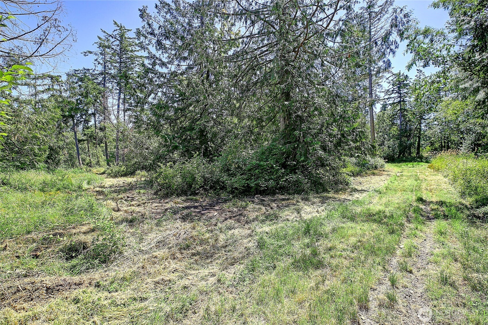 680 Tillicum Way Property Photo 11