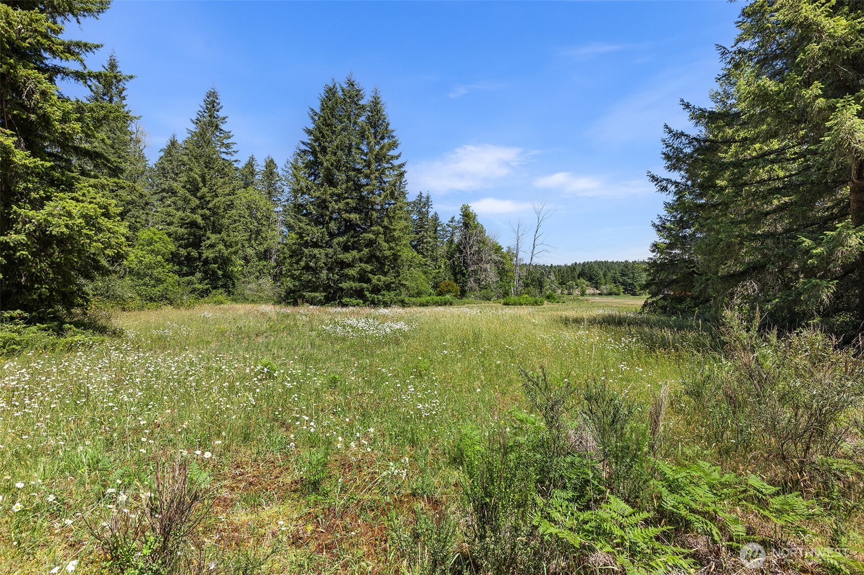 22030 Peissner Road Property Photo 1