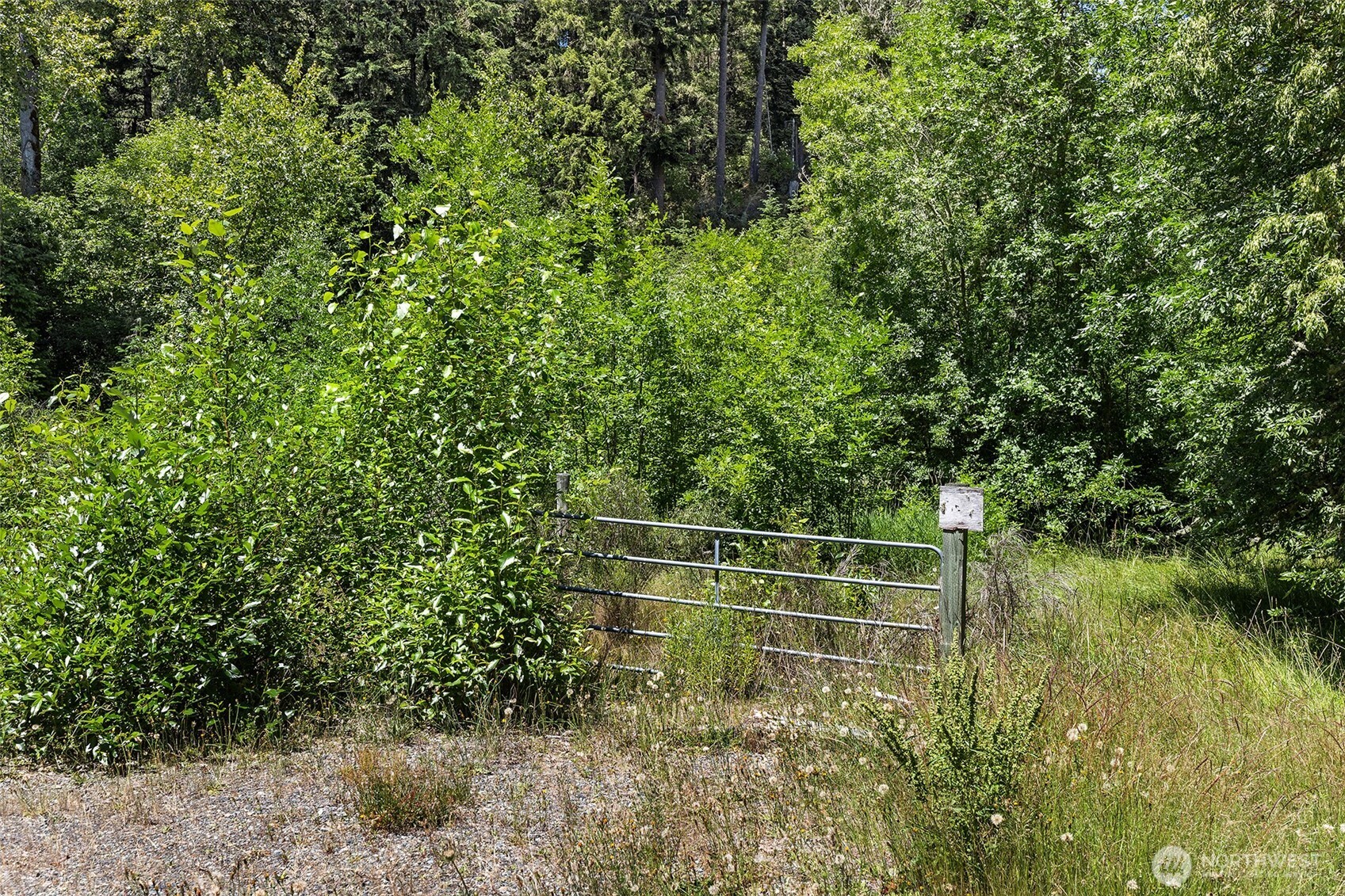 22030 Peissner Road Property Photo 5