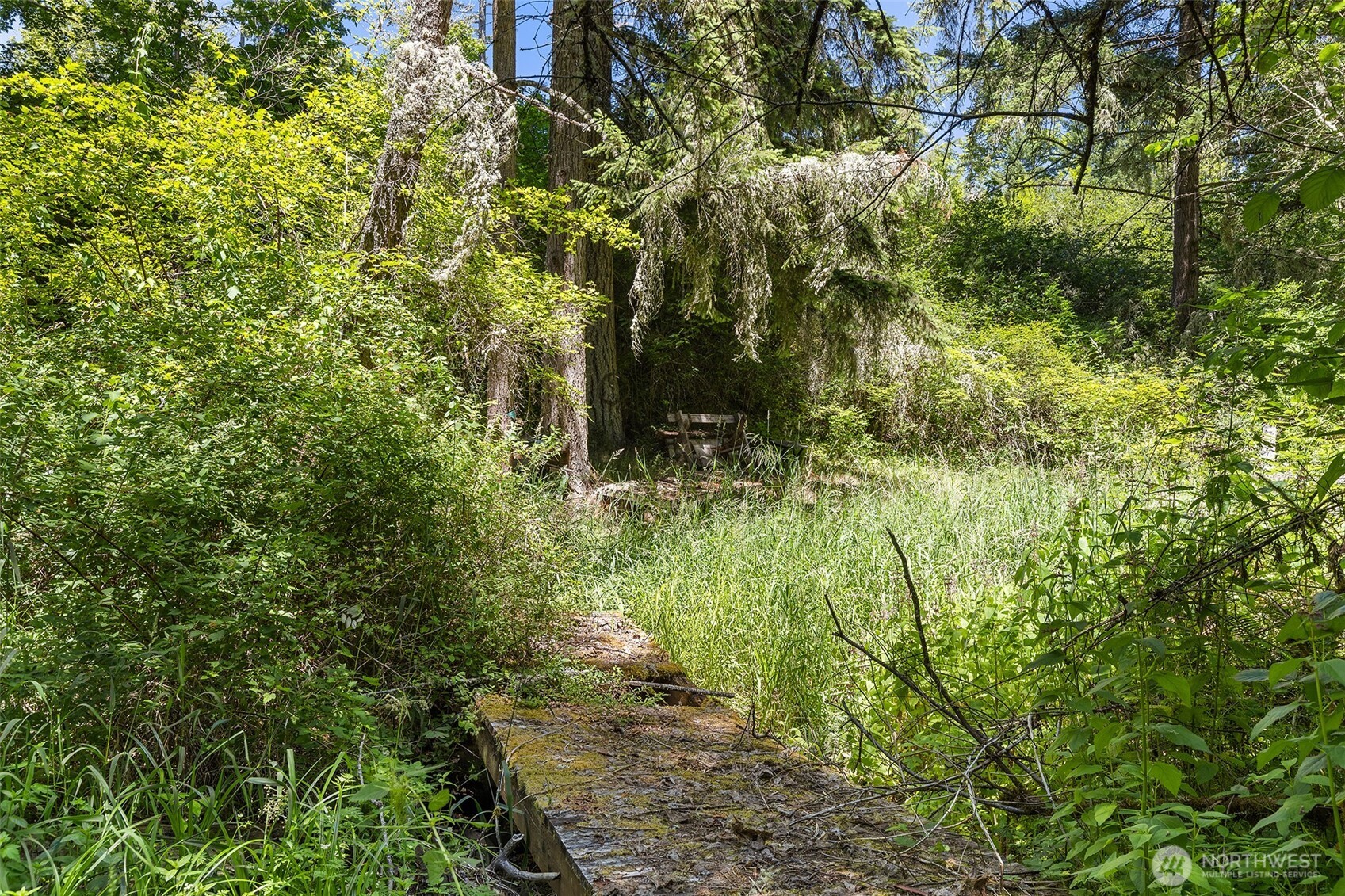 22030 Peissner Road Property Photo 6