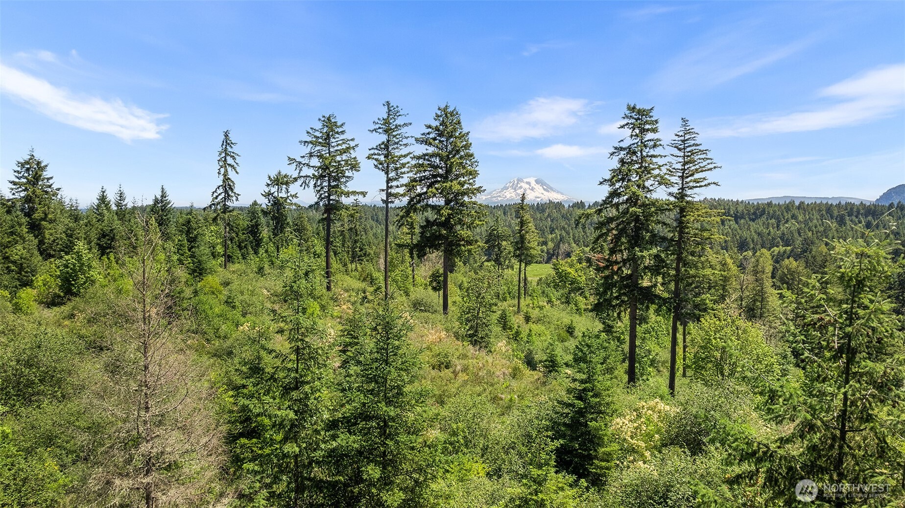 22030 Peissner Road Property Photo 13