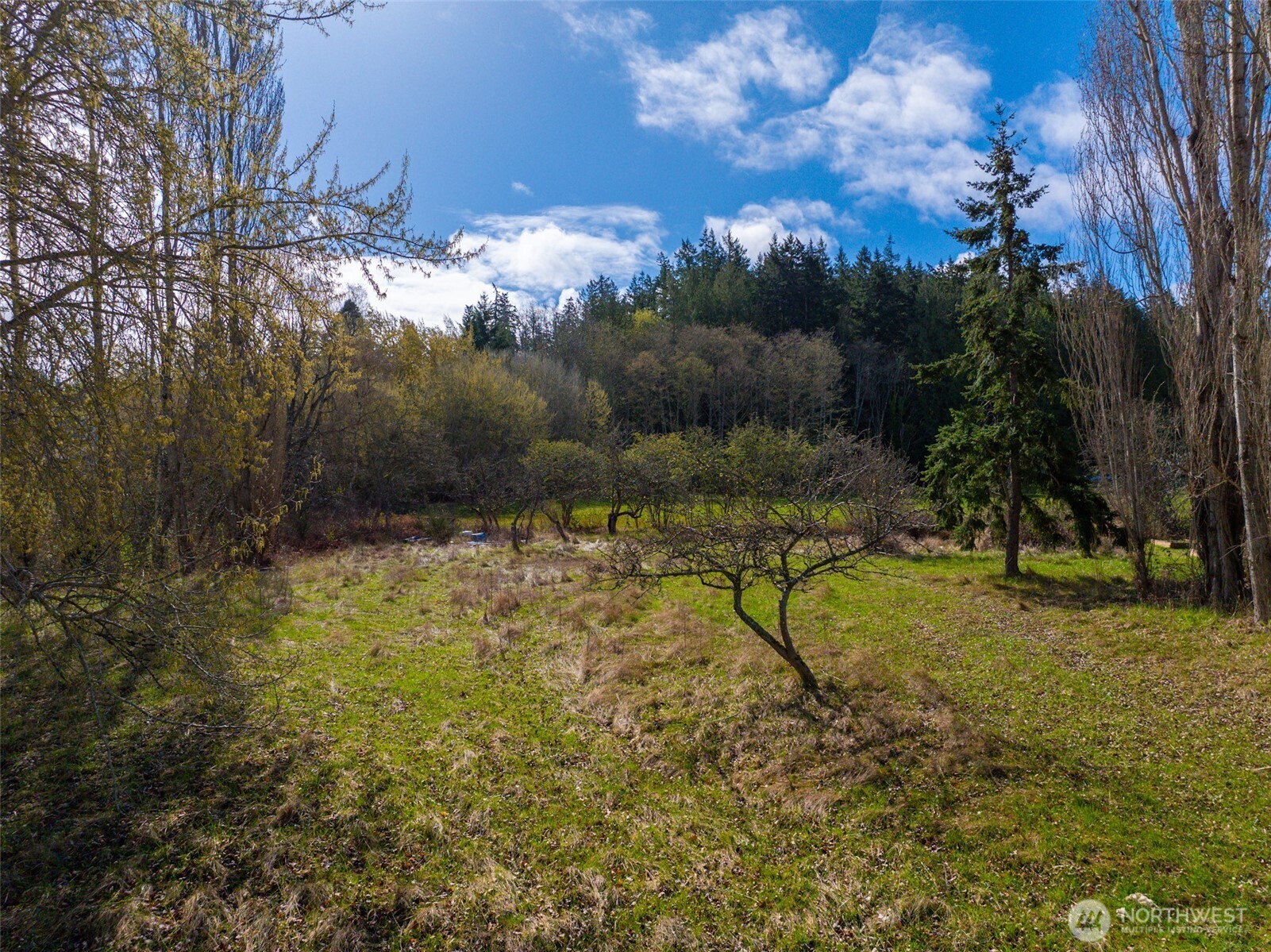 4011 Commercial Avenue Property Photo 6