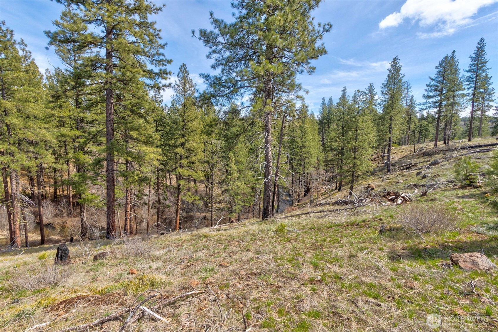 0 Box Canyon Road Property Photo 3