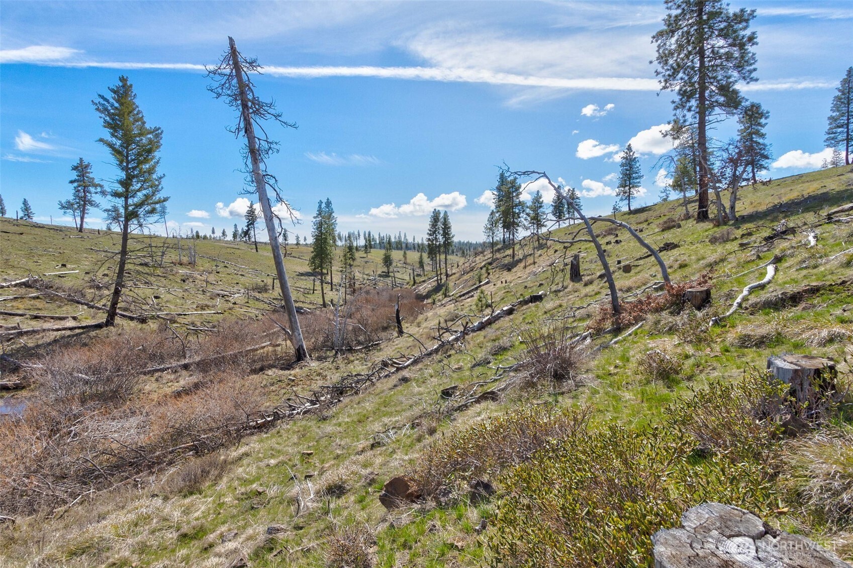 0 Box Canyon Road Property Photo 7