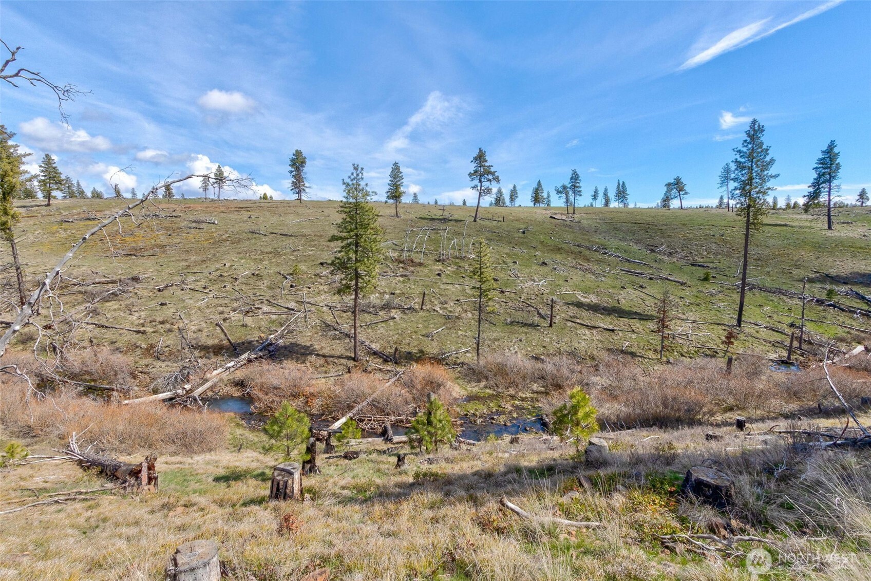0 Box Canyon Road Property Photo 9