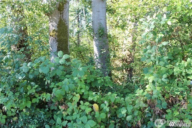 3085 W Maplewood Avenue Property Photo 6