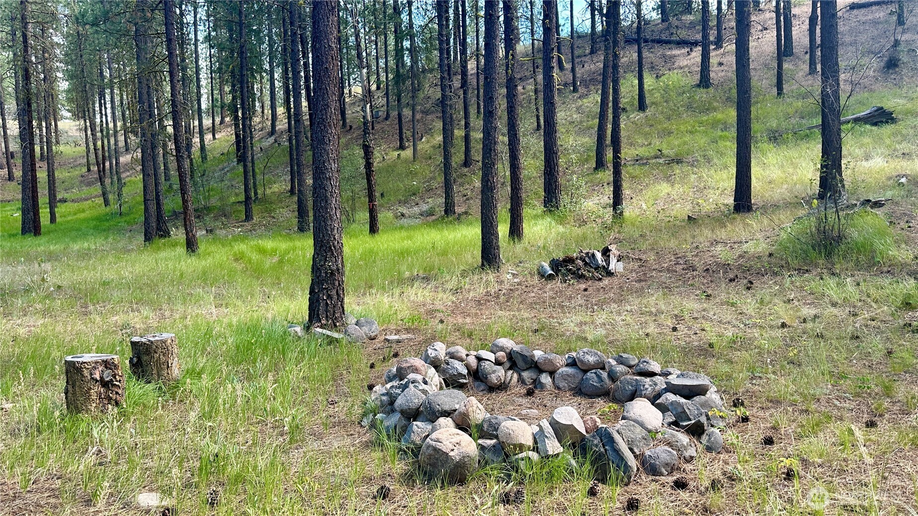 98 Larkspur Drive Property Photo 1
