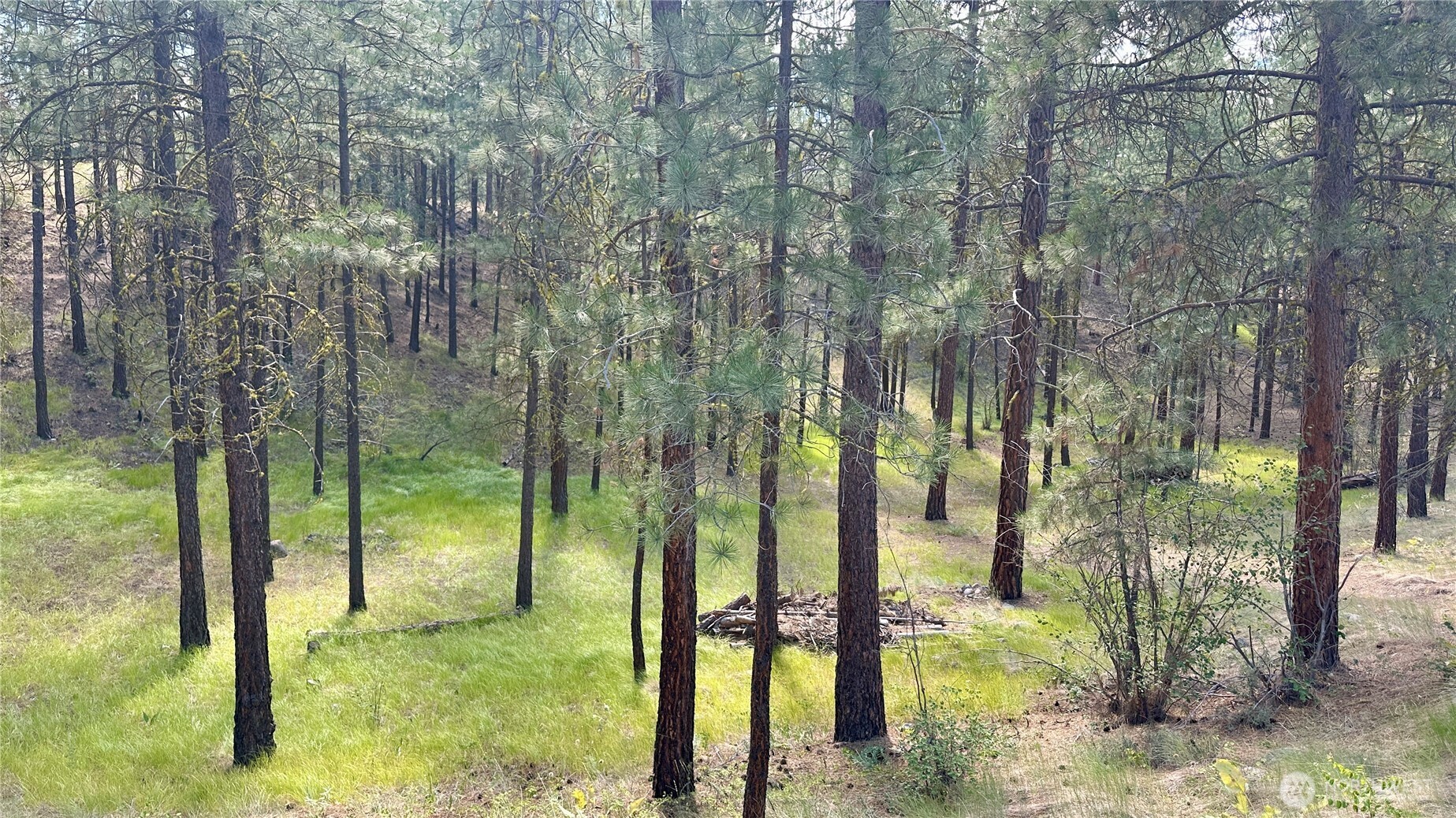 98 Larkspur Drive Property Photo 3