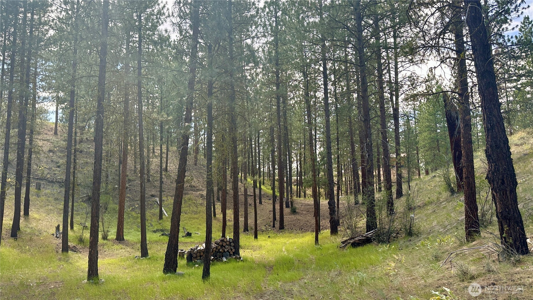 98 Larkspur Drive Property Photo 10