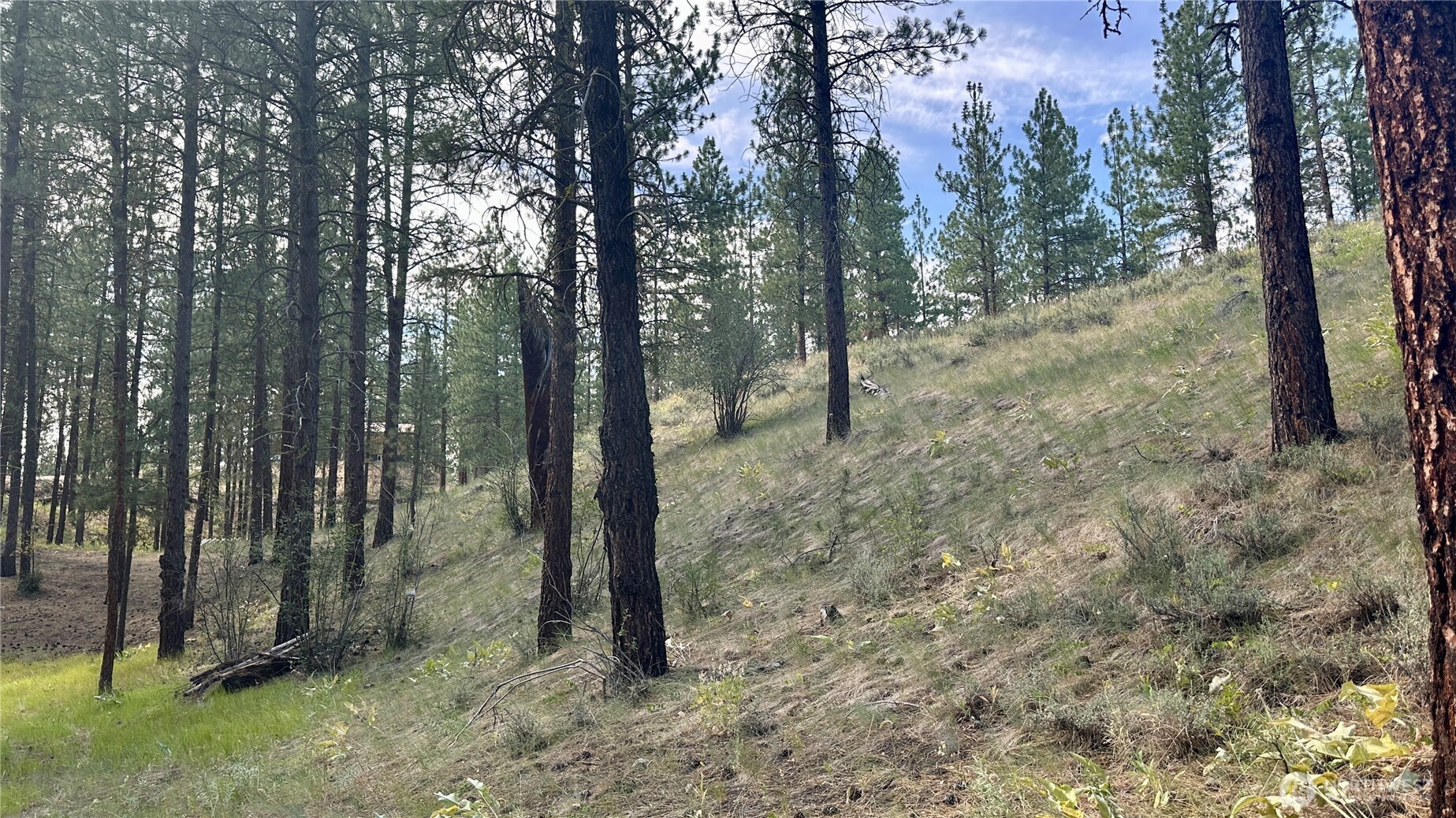 98 Larkspur Drive Property Photo 11