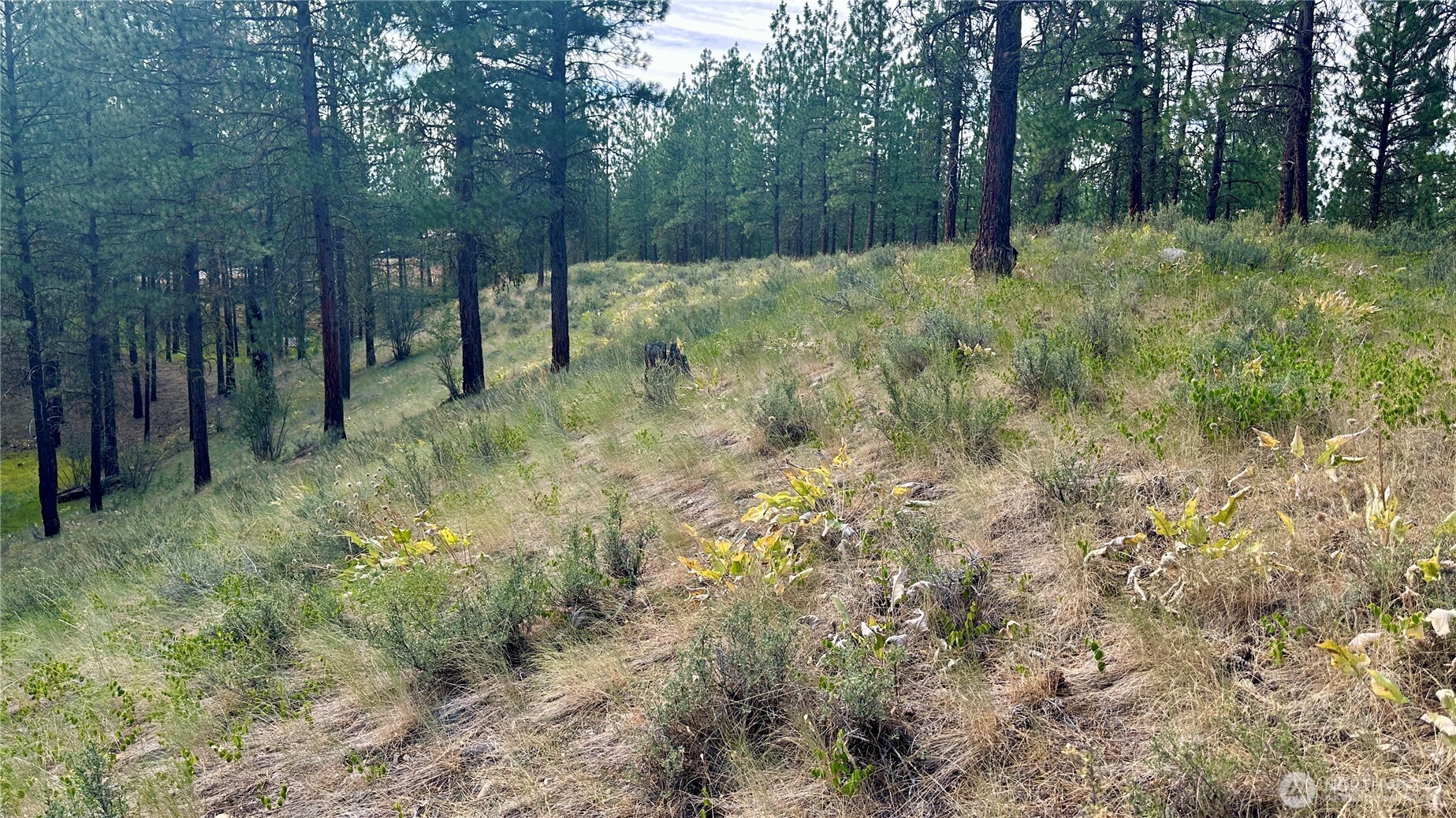 98 Larkspur Drive Property Photo 17