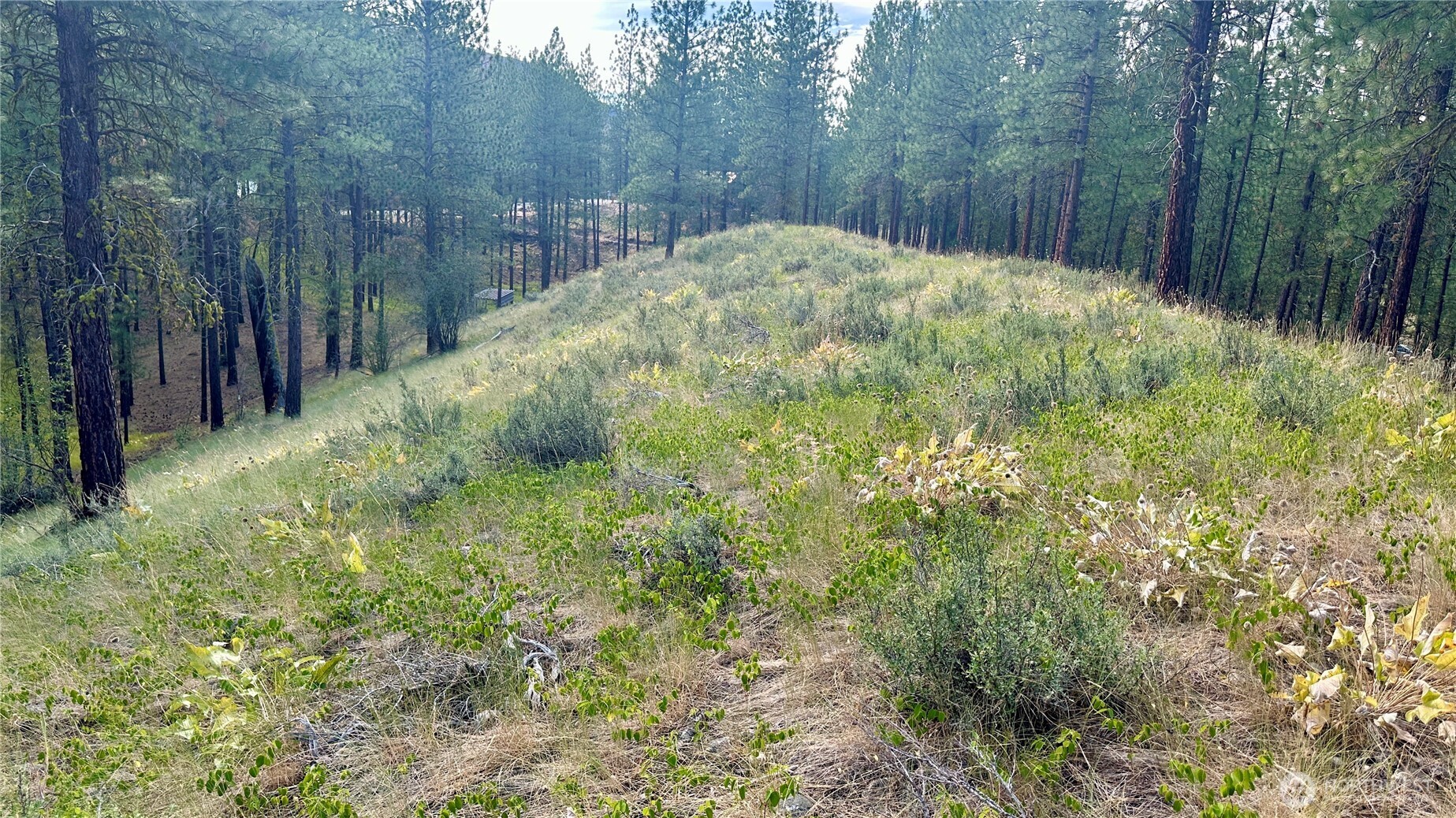98 Larkspur Drive Property Photo 23