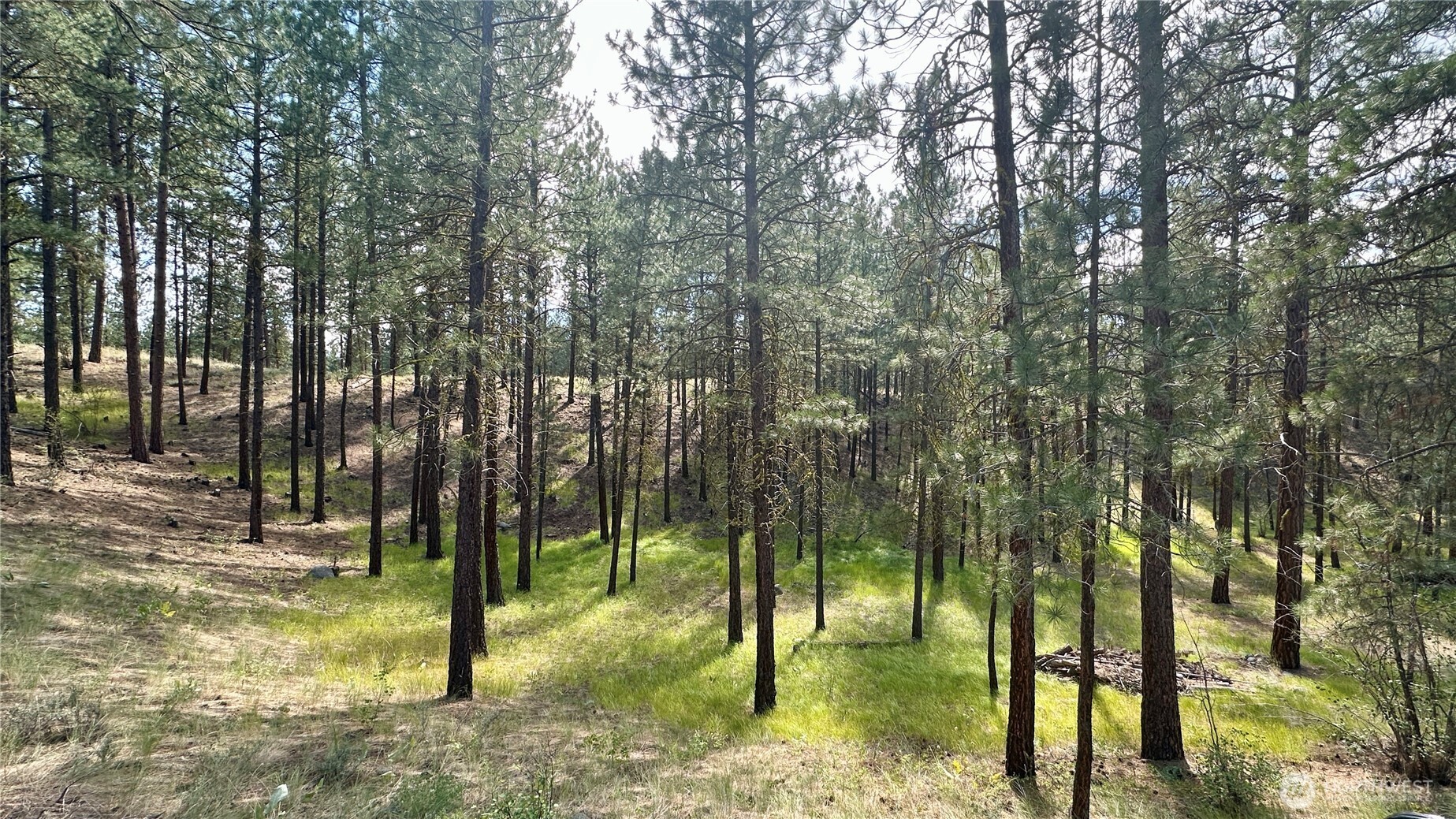 98 Larkspur Drive Property Photo 26