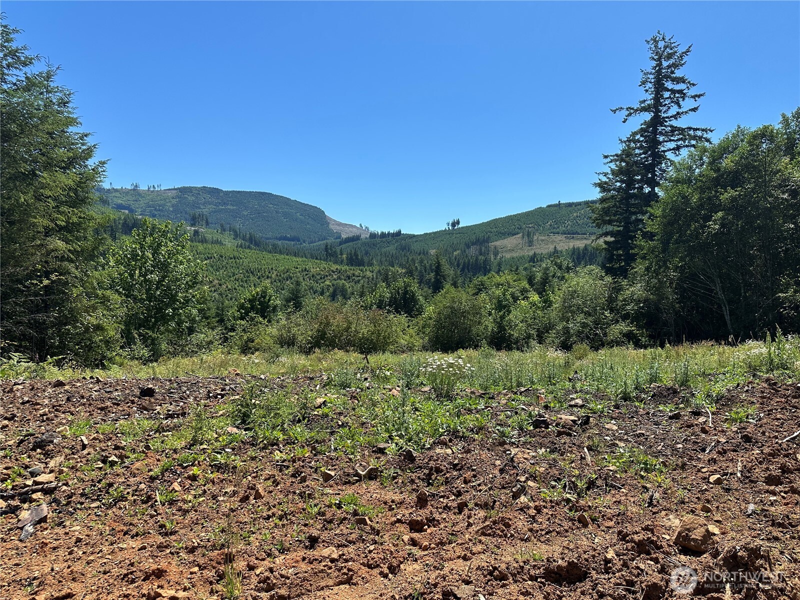 0 Kalama River Road Property Photo 1