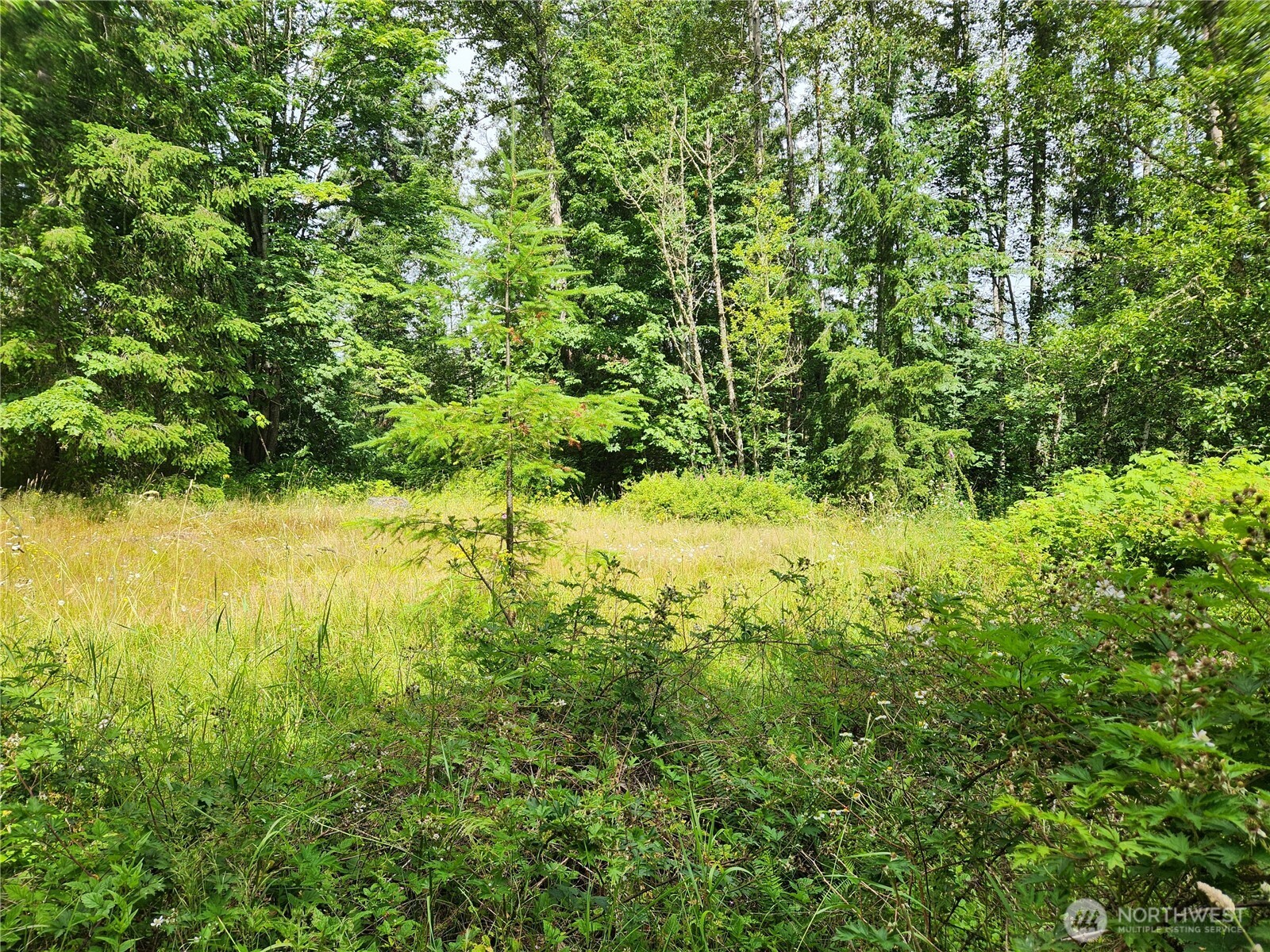 4 Xx 239th Avenue Property Photo 1