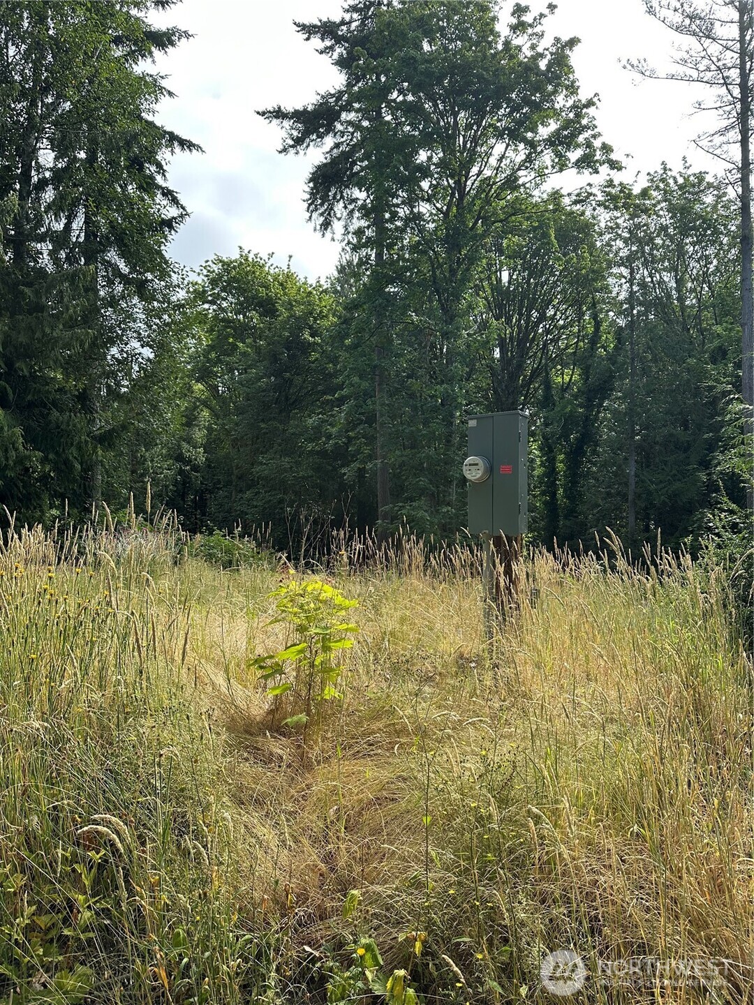 20594 Alder Street Property Photo 2