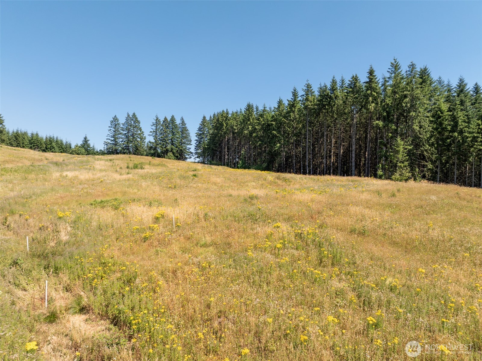 140 Yarrow Place Property Photo 13