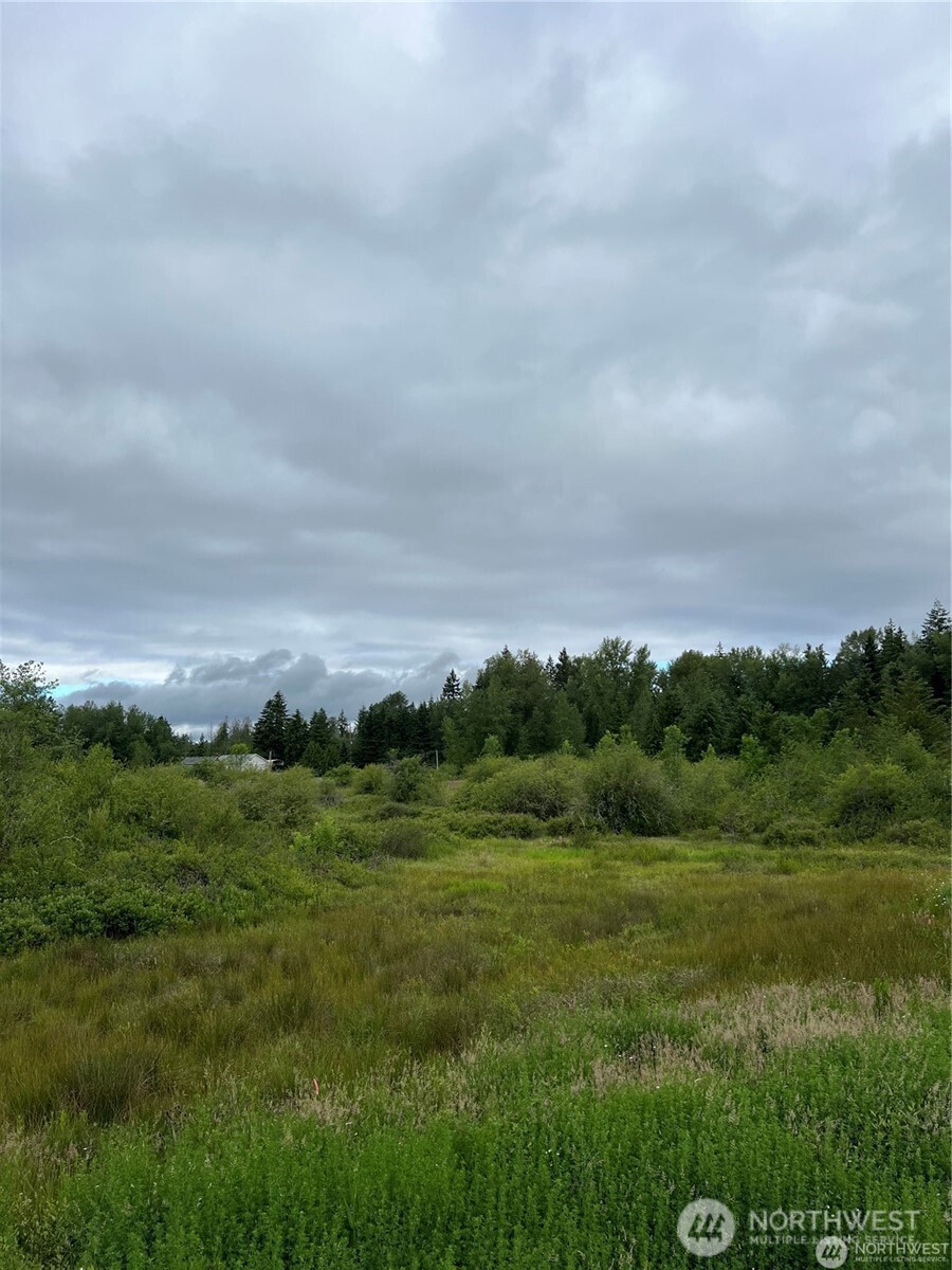 0 134th Avenue Property Photo 3