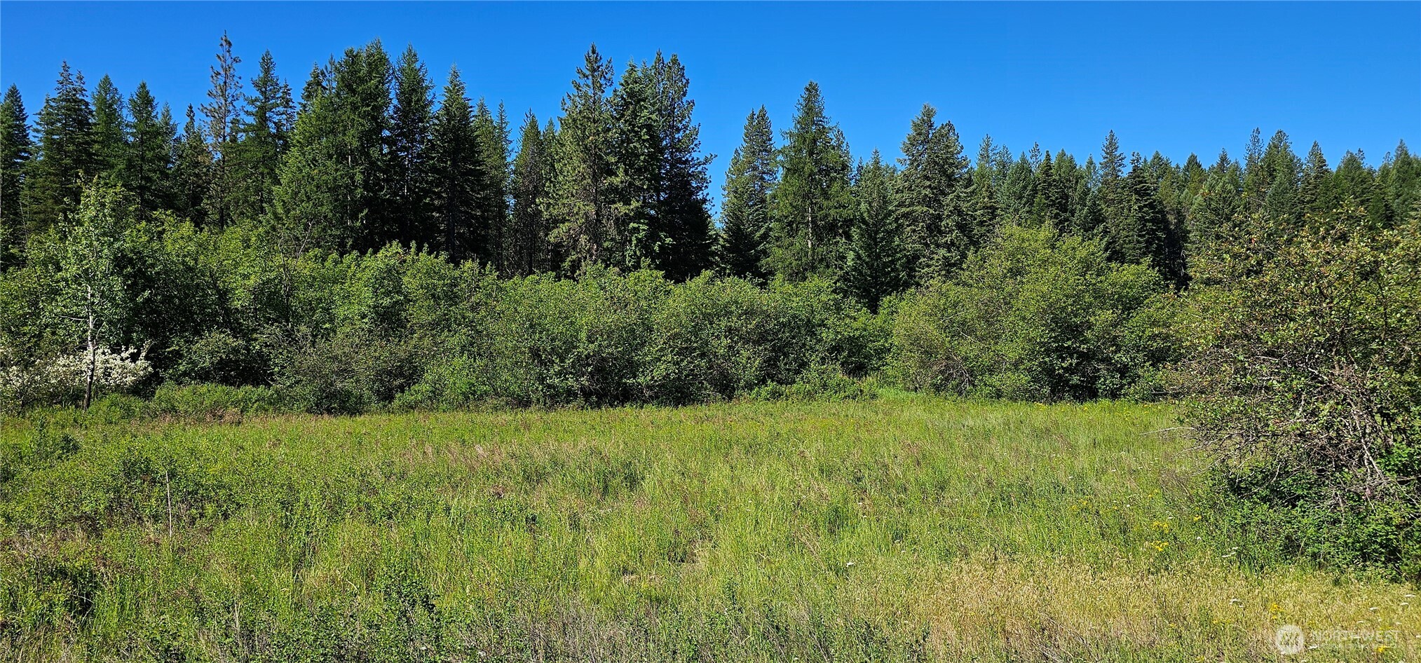 5 XXX Olinger Road