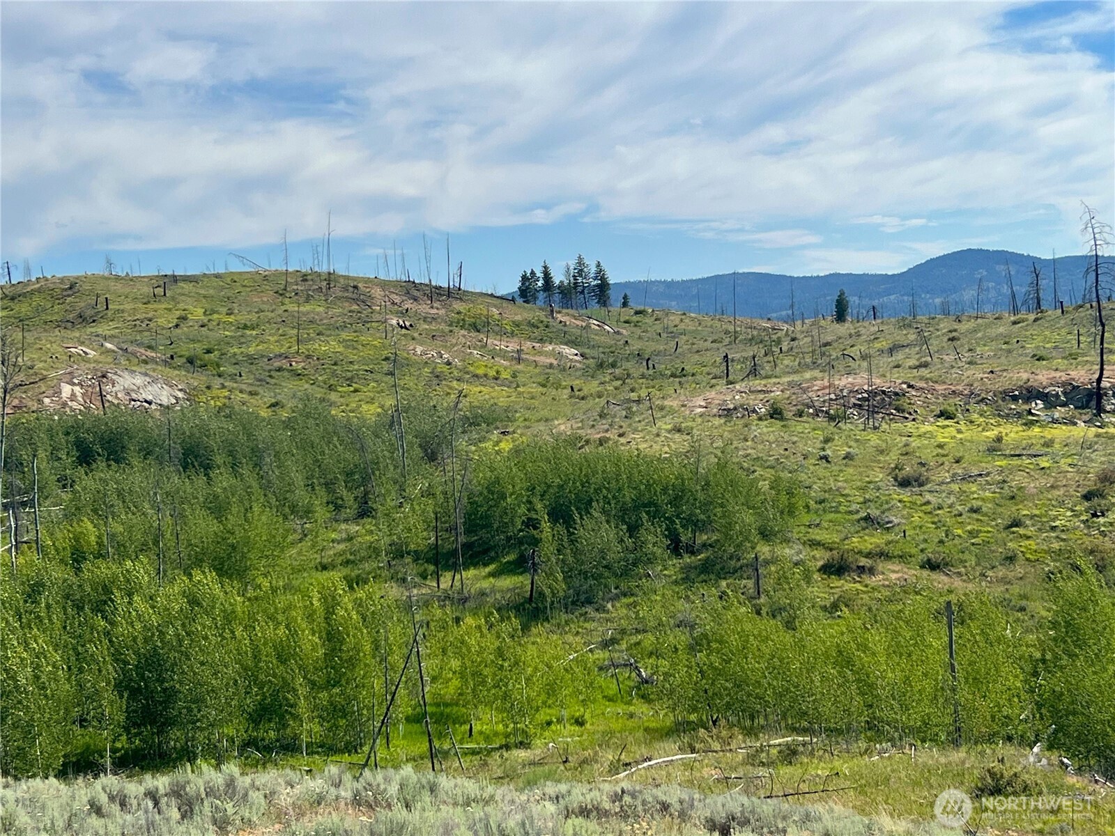 0 Lot 12 Lone Spur Road Property Photo 6