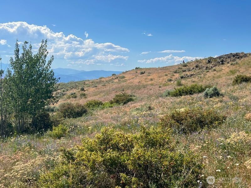0 Lot 12 Lone Spur Road Property Photo 9