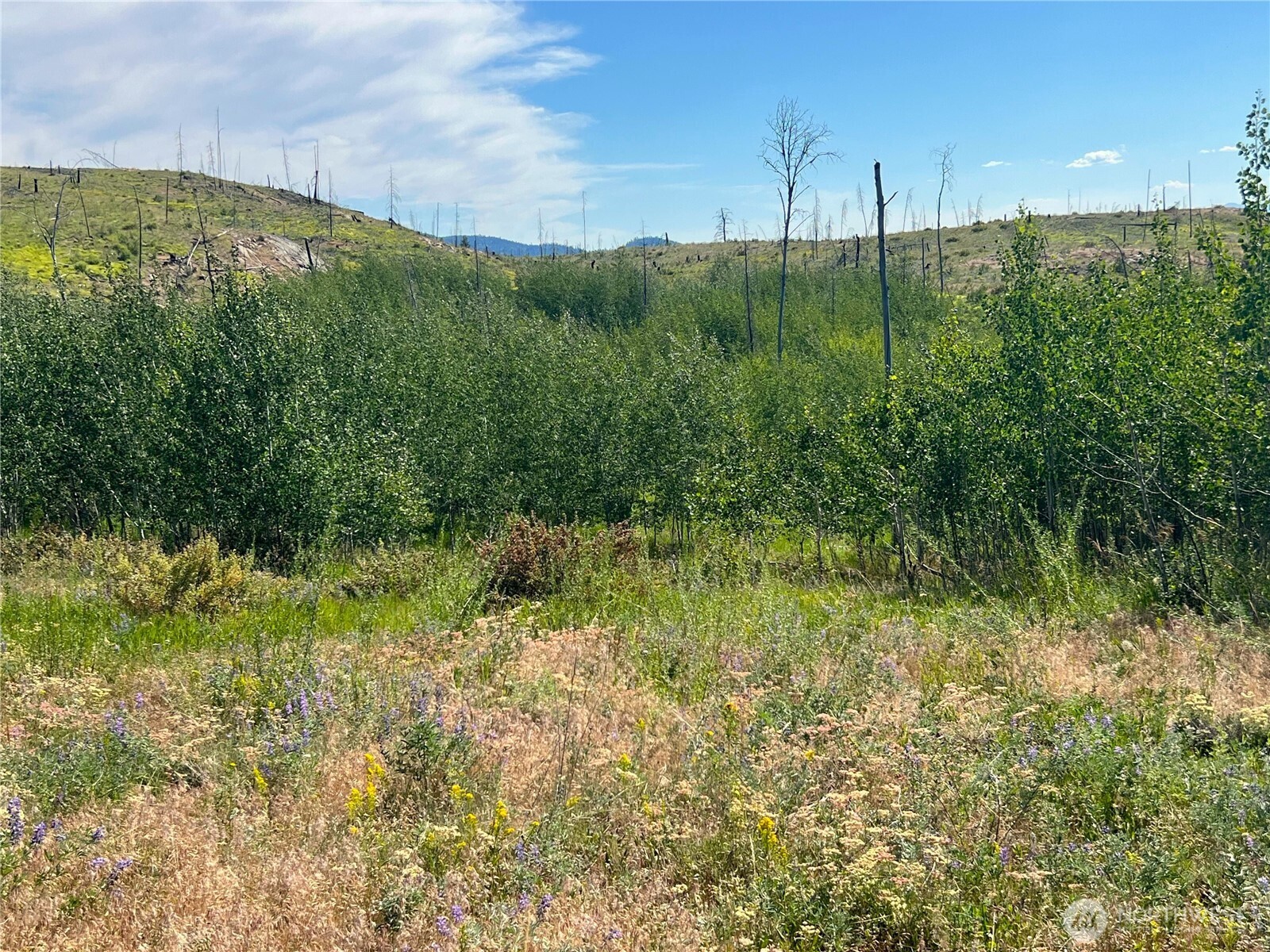 0 Lot 12 Lone Spur Road Property Photo 13