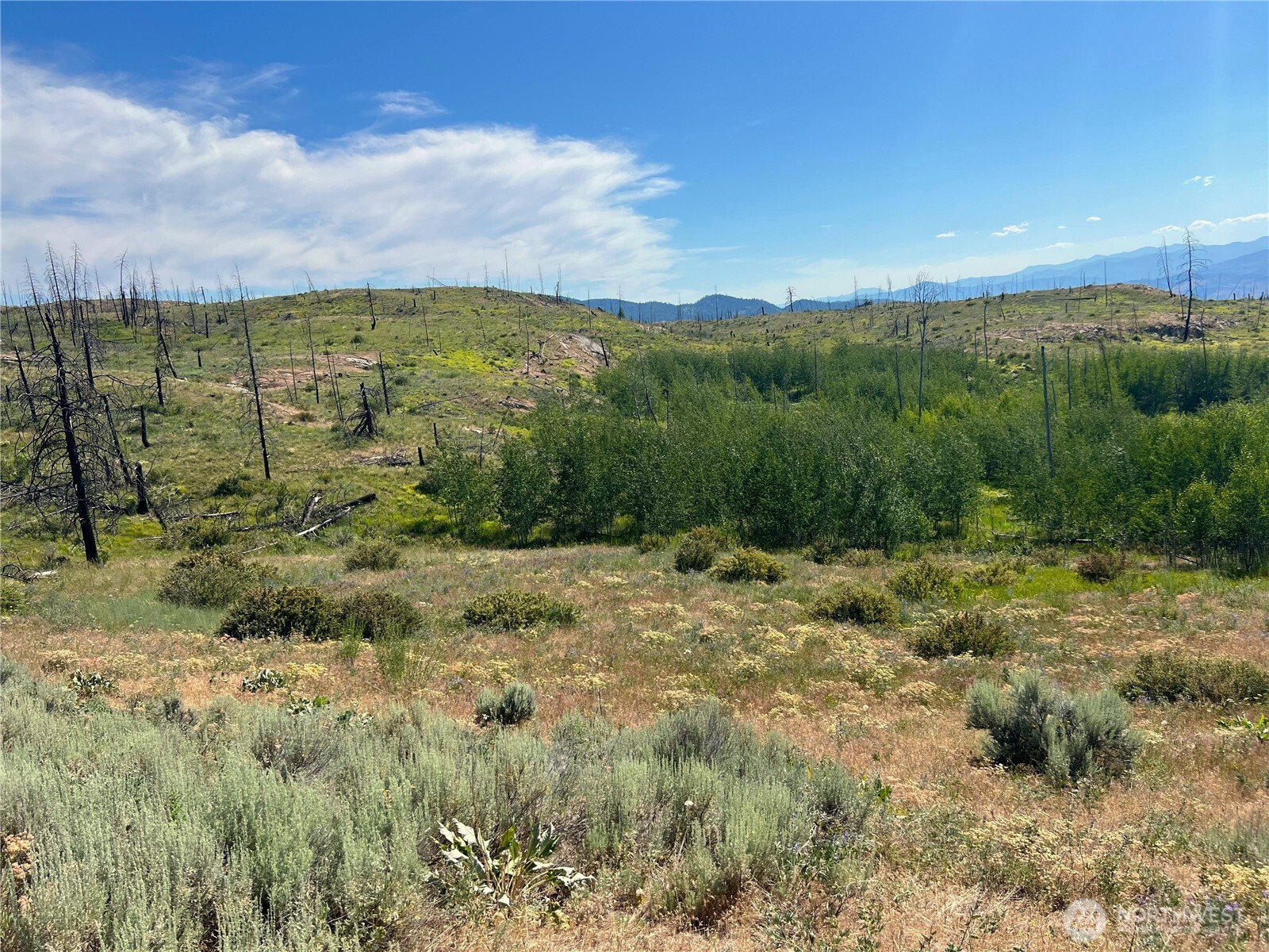 0 Lot 12 Lone Spur Road Property Photo 17