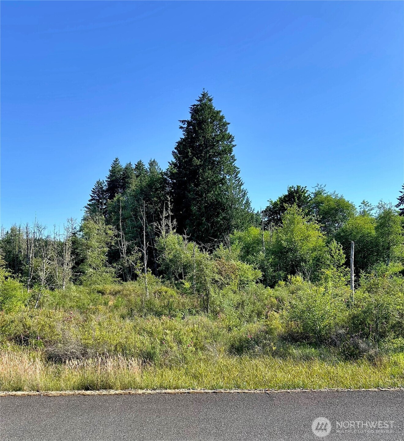 0 Basie Road Property Photo 1