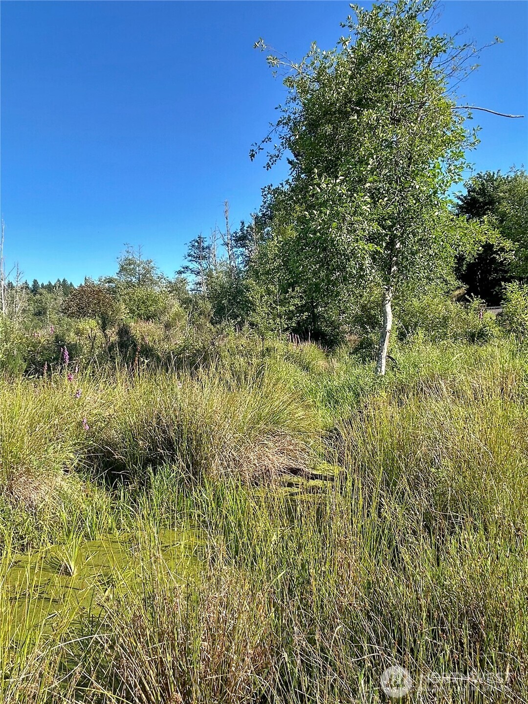0 Basie Road Property Photo 2