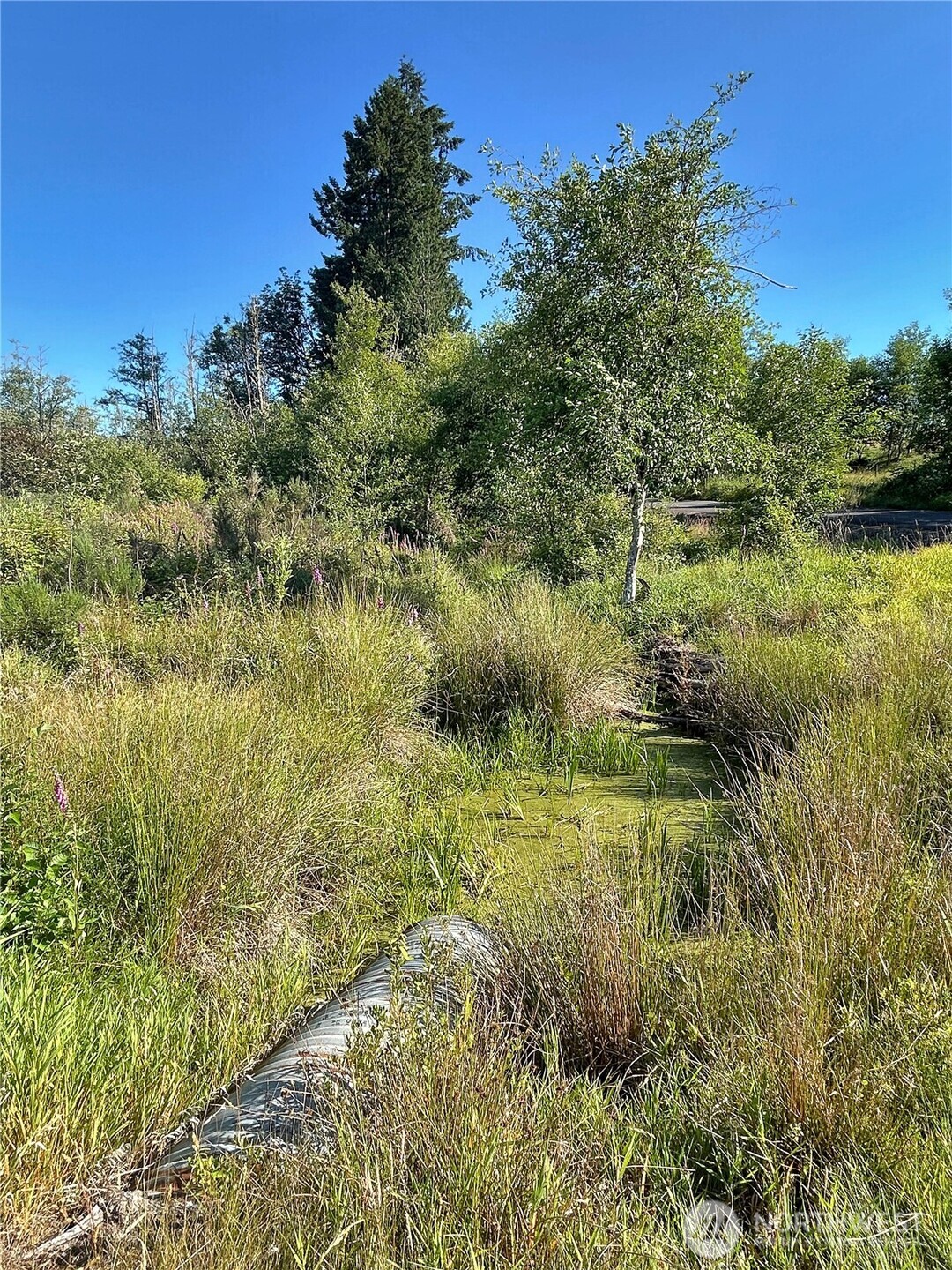 0 Basie Road Property Photo 3