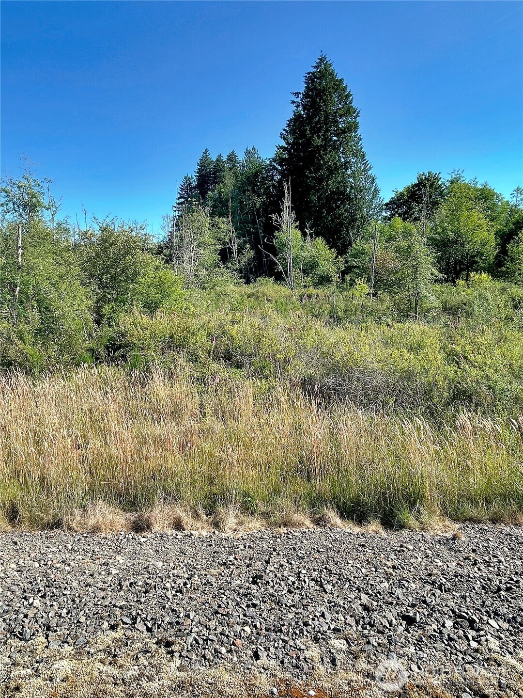 0 Basie Road Property Photo 4