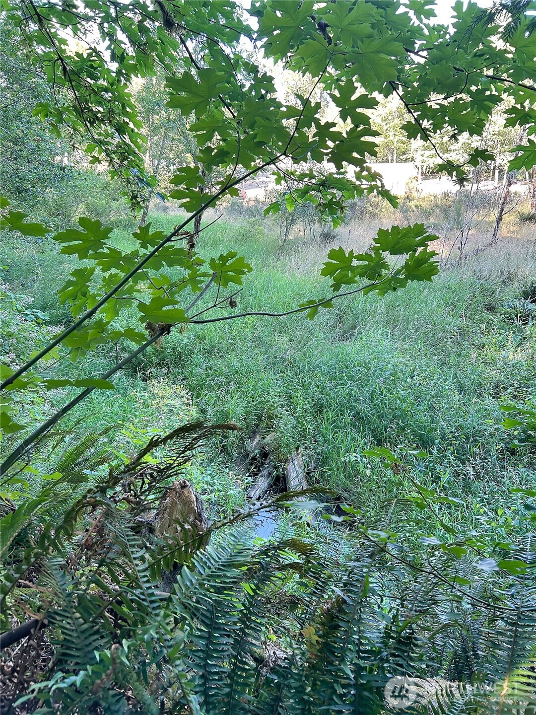 0 Basie Road Property Photo 8