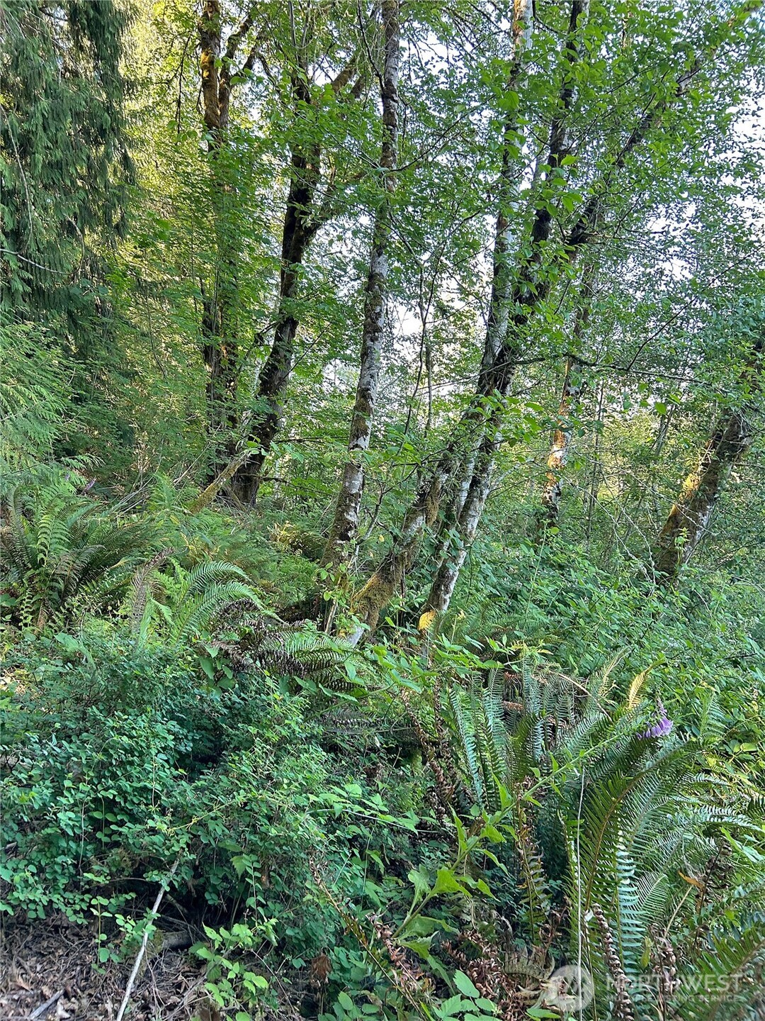 0 Basie Road Property Photo 9