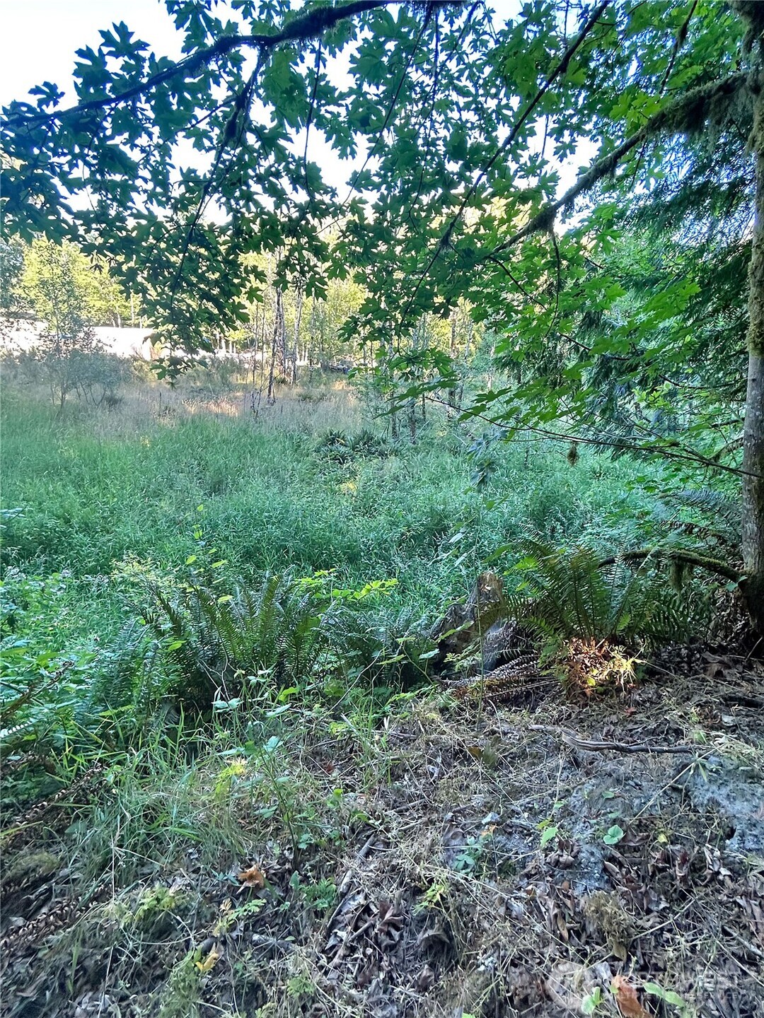 0 Basie Road Property Photo 10