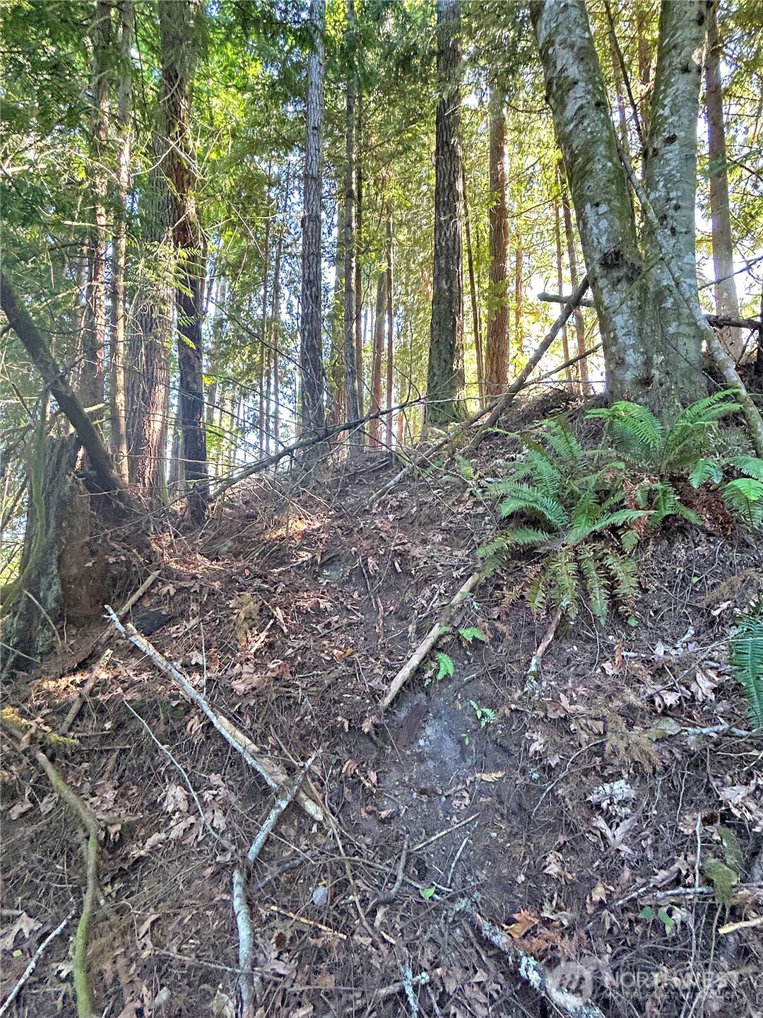 0 Basie Road Property Photo 12