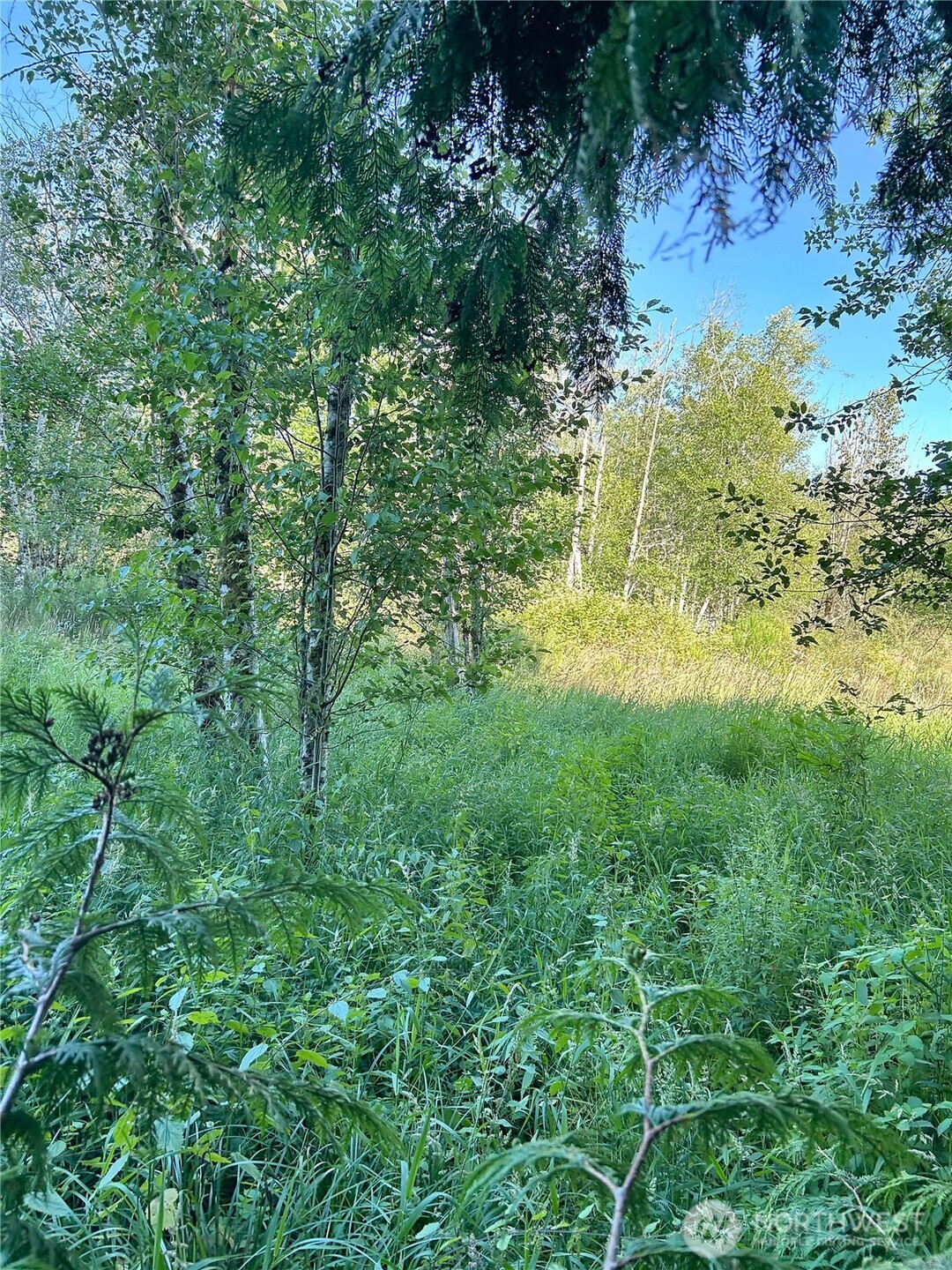 0 Basie Road Property Photo 13