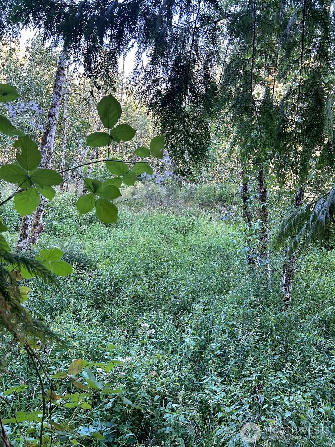 0 Basie Road Property Photo 14