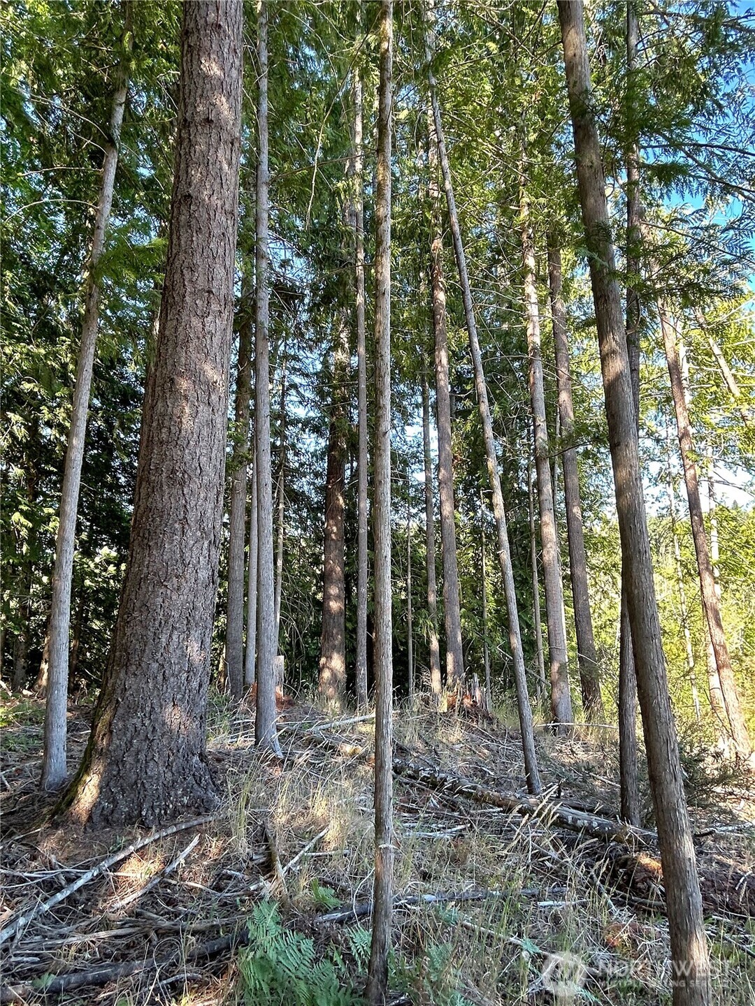 0 Basie Road Property Photo 17
