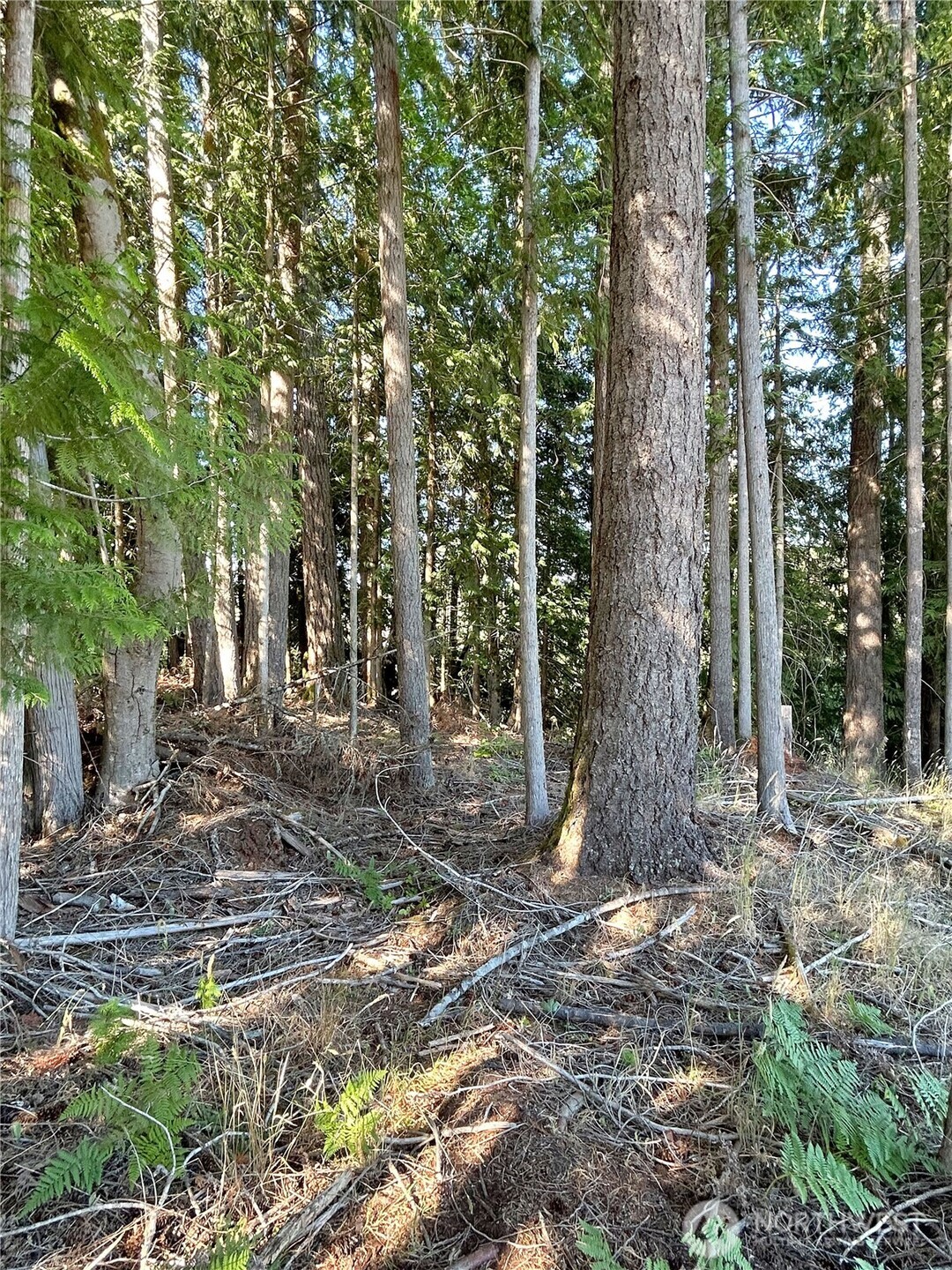 0 Basie Road Property Photo 18